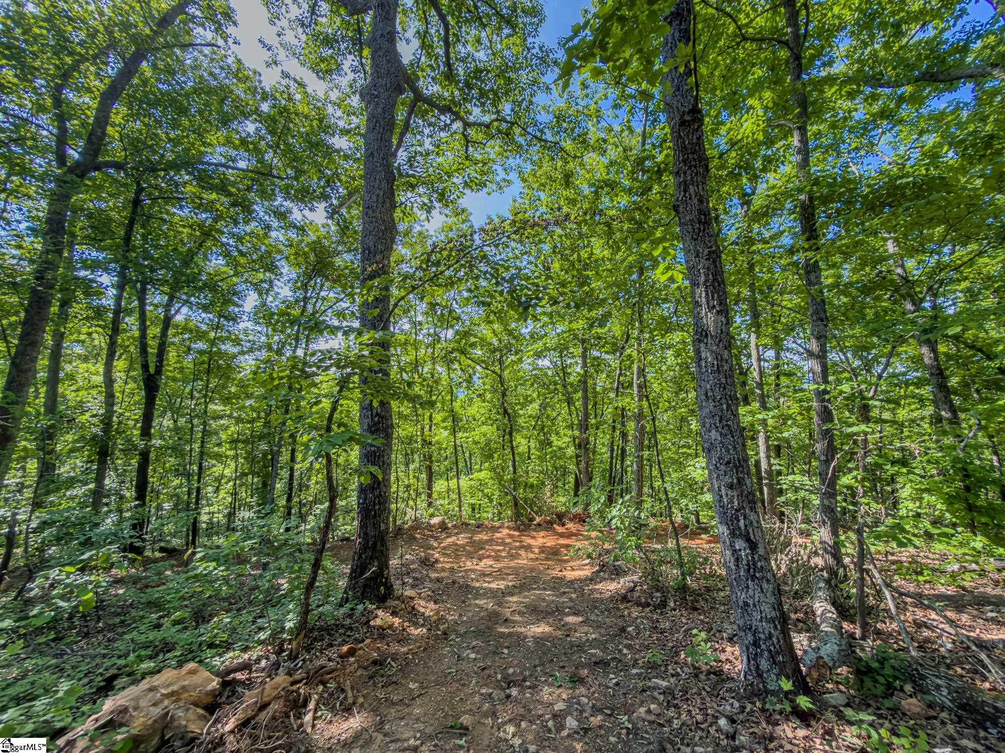 611 Packs Mountain Ridge Road Property Photo 22