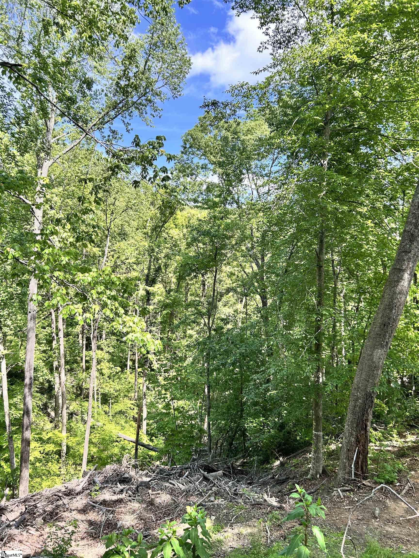 1590747 Property Photo 3