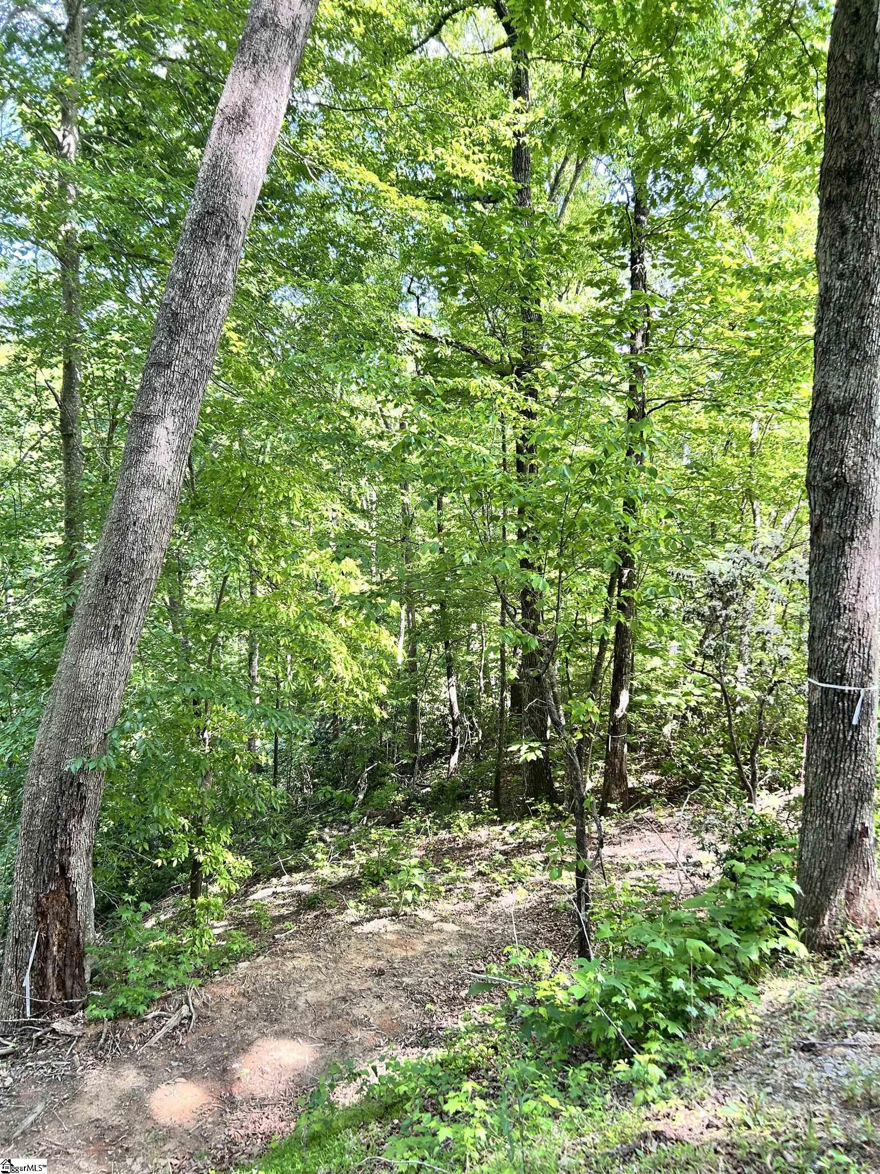 1590747 Property Photo 4