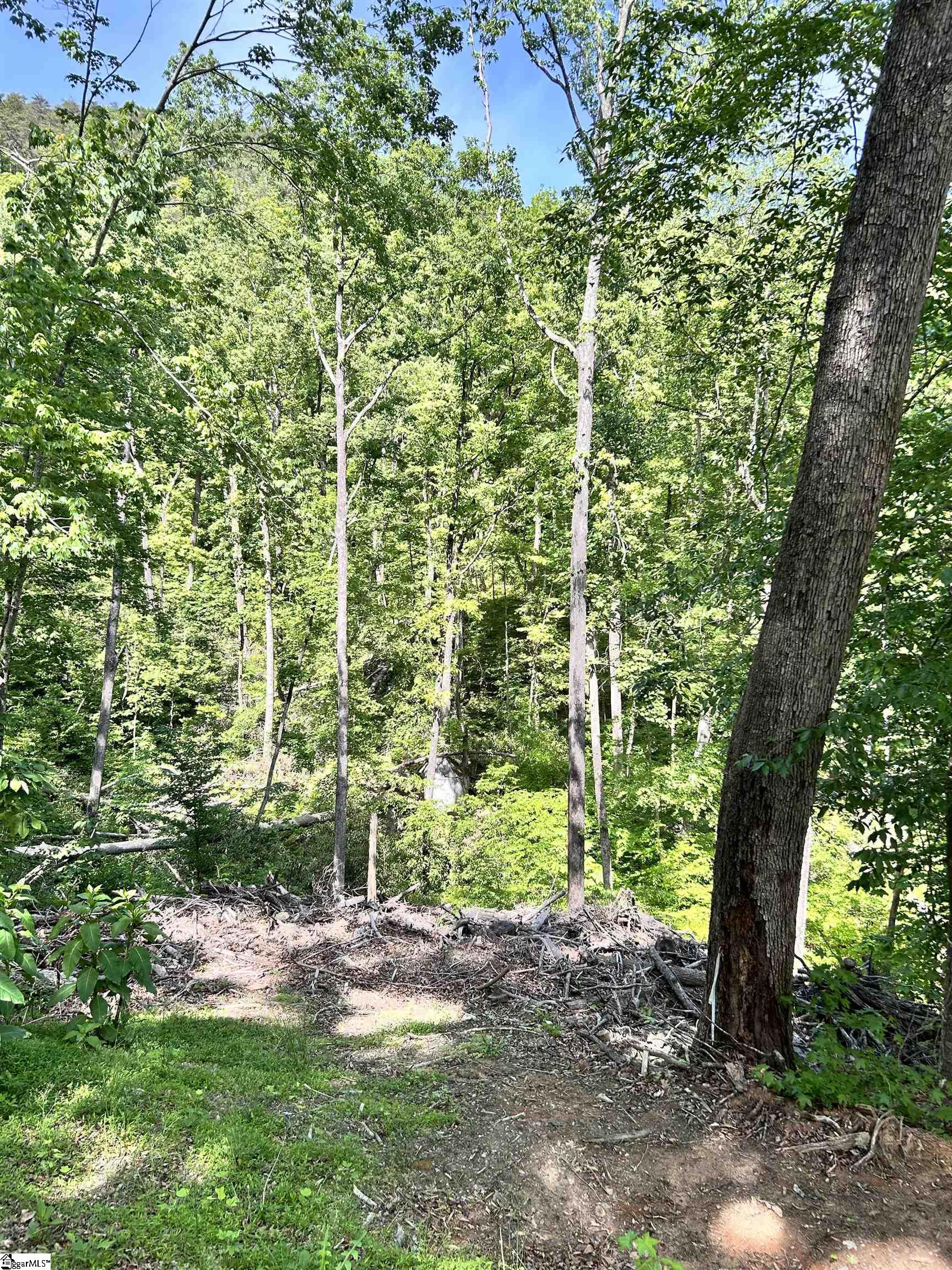 1590747 Property Photo 5