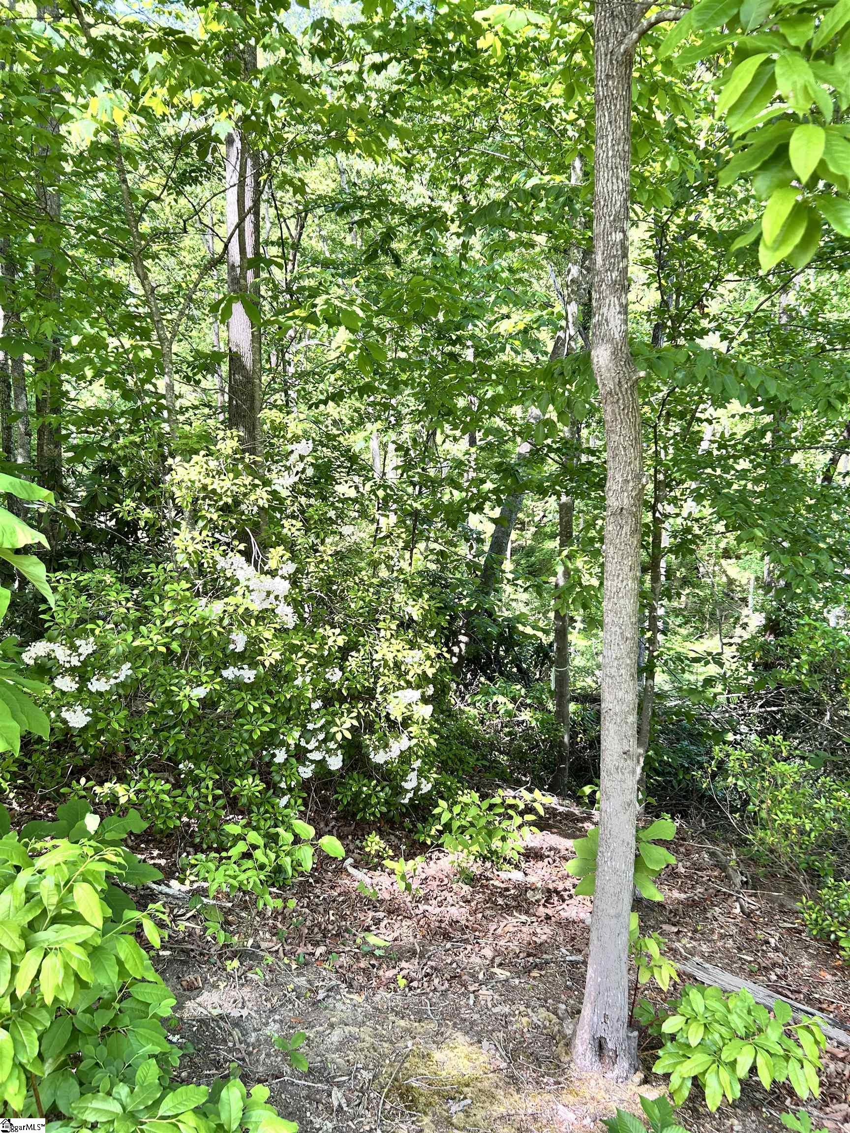 1590747 Property Photo 7
