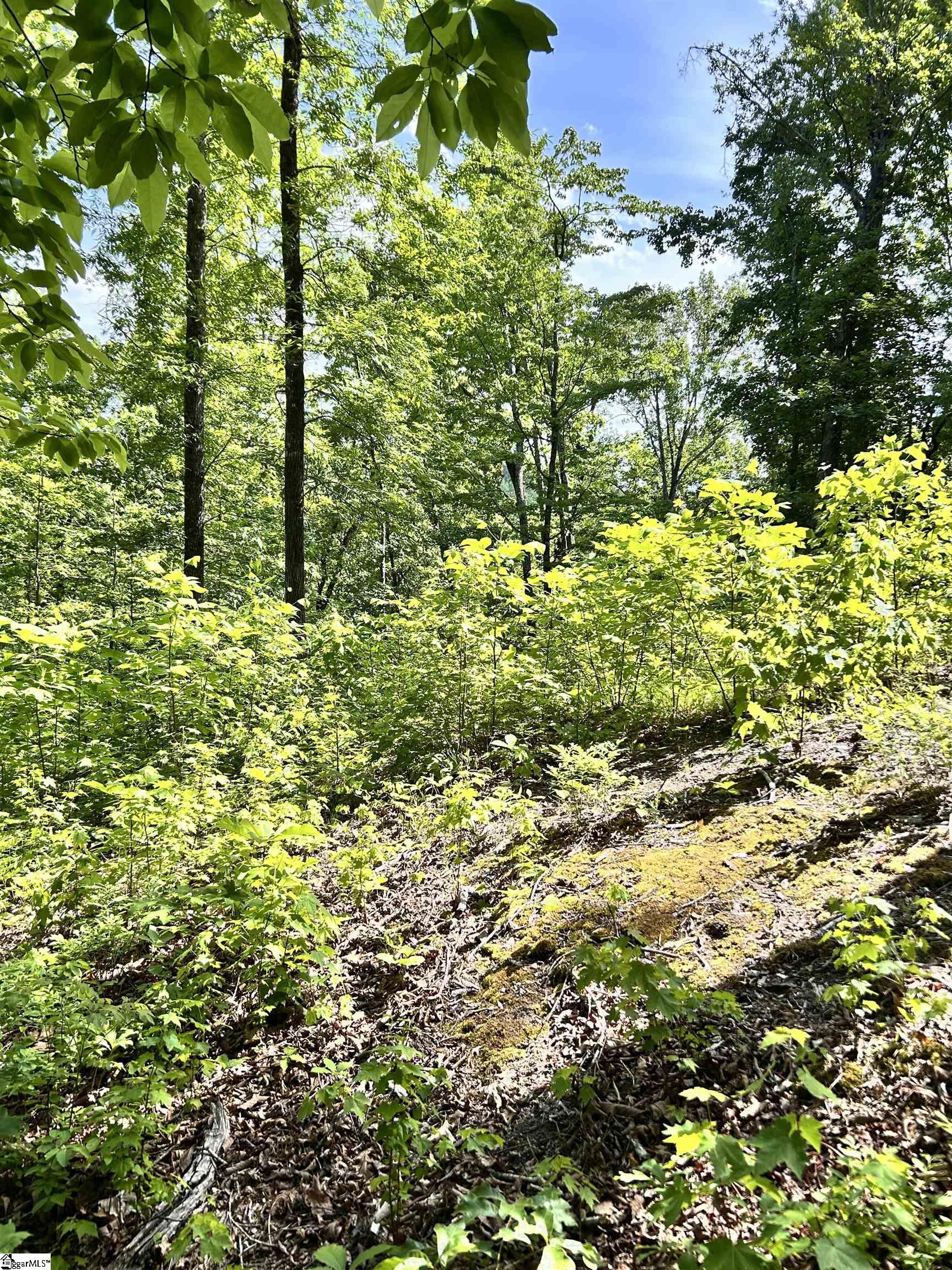 1590747 Property Photo 8