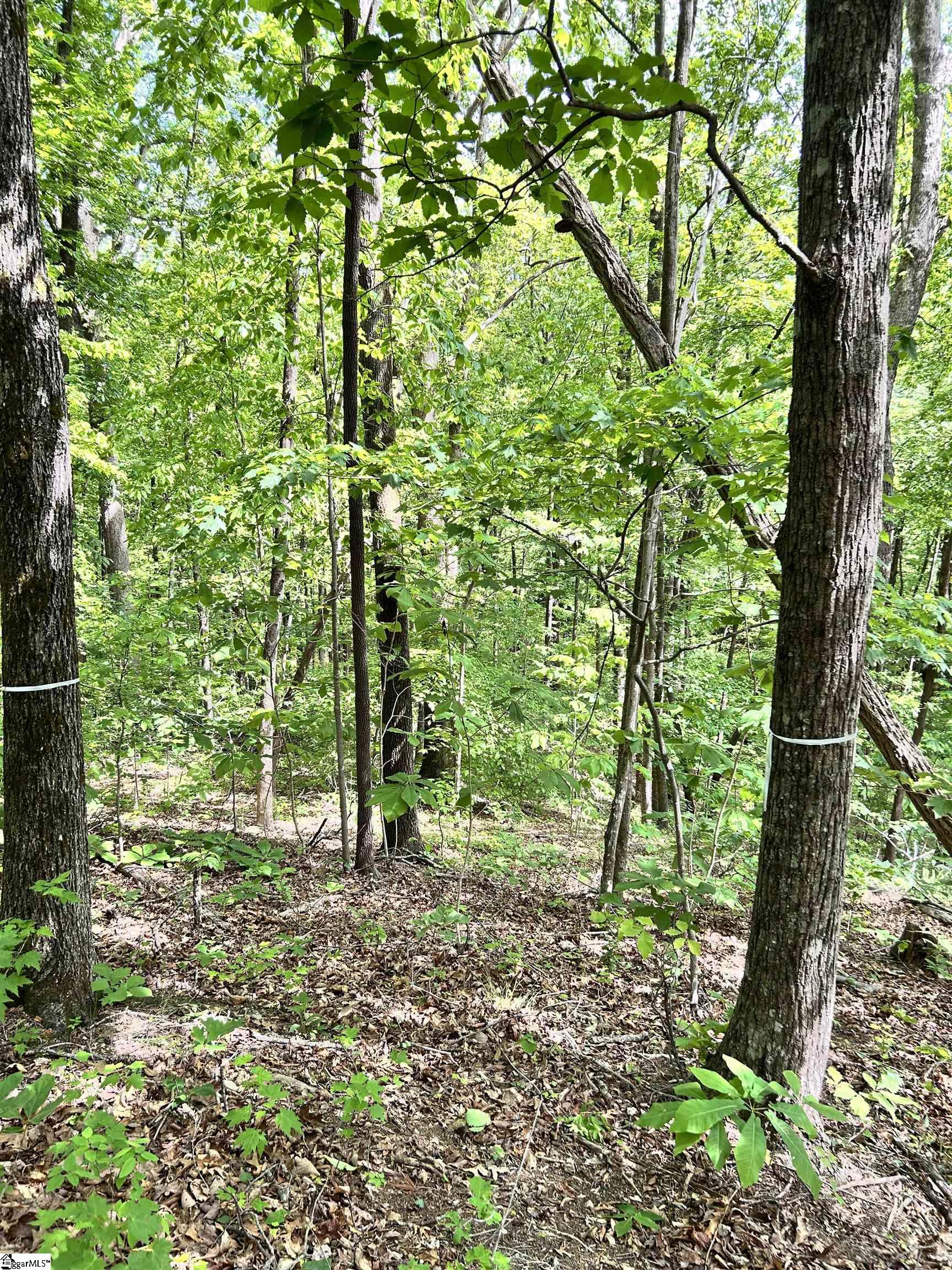 1590747 Property Photo 10