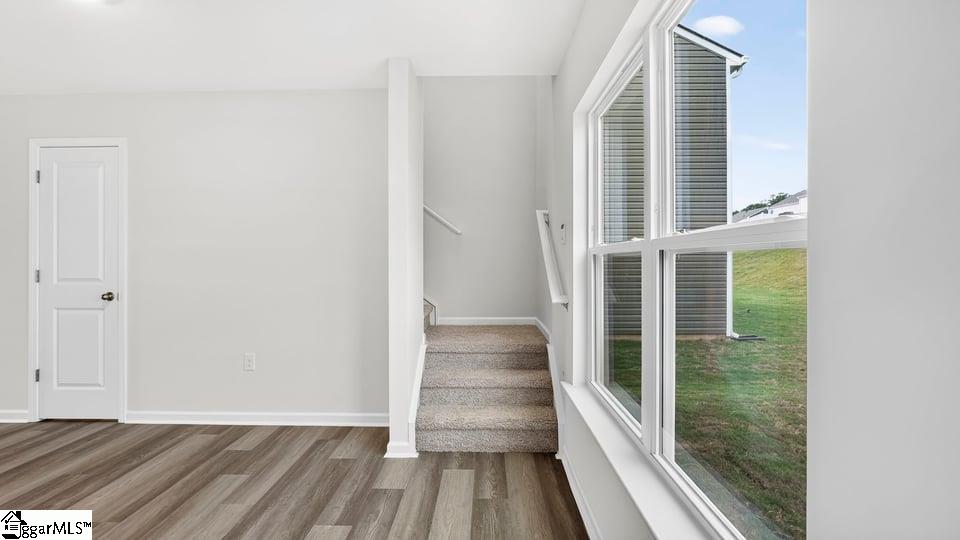 4125 Springshire Lane Property Photo 17