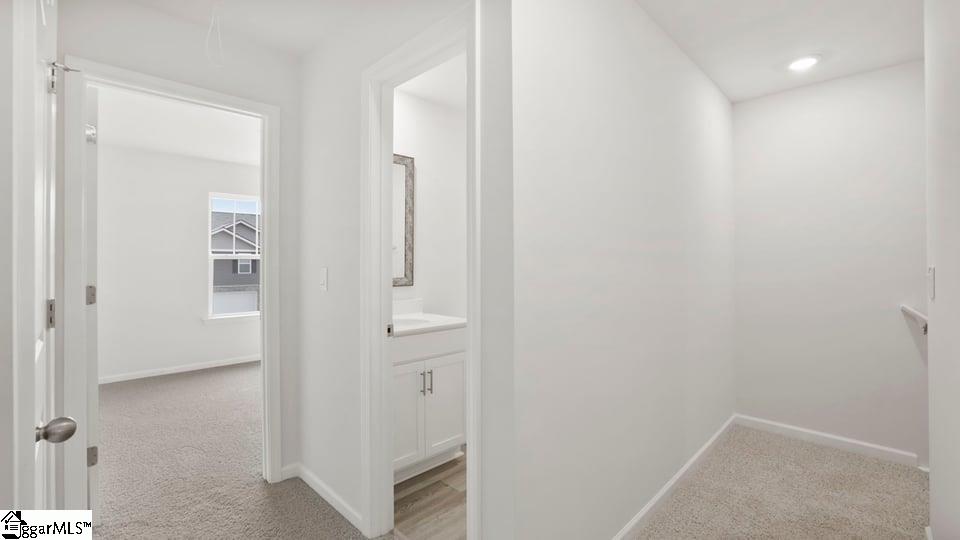 4125 Springshire Lane Property Photo 18