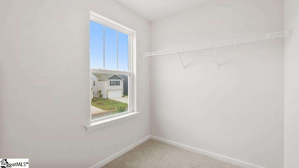 4125 Springshire Lane Property Photo 32