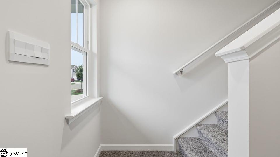 4129 Springshire Lane Property Photo 15