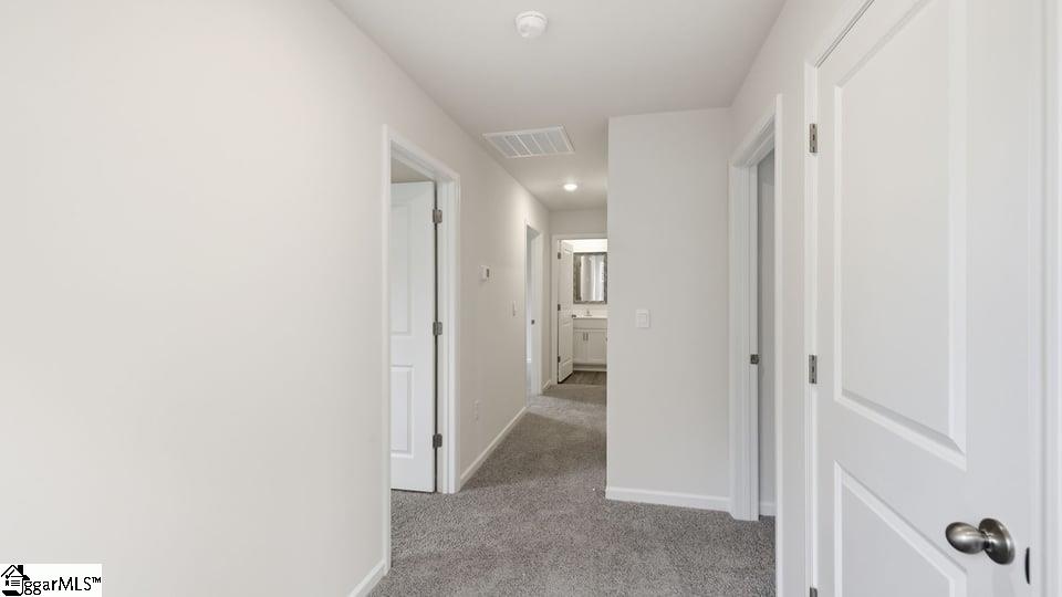 4129 Springshire Lane Property Photo 17
