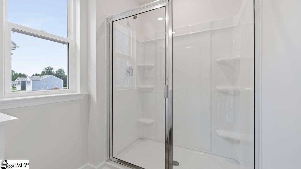 4129 Springshire Lane Property Photo 29