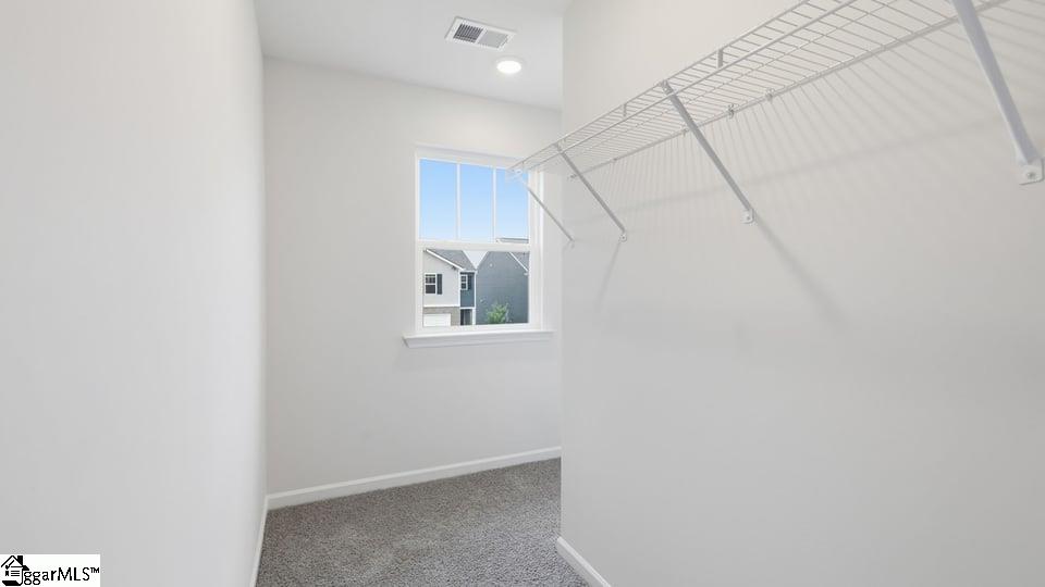 4129 Springshire Lane Property Photo 32