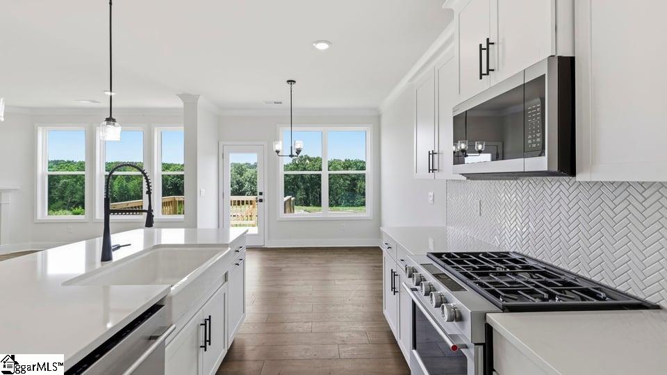 663 Munchberry Way Property Photo 13