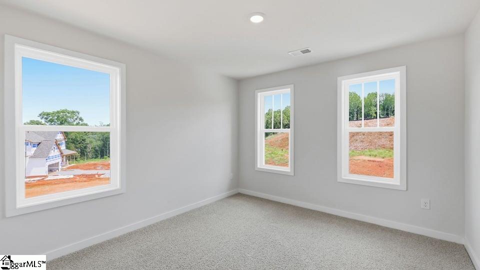 663 Munchberry Way Property Photo 25
