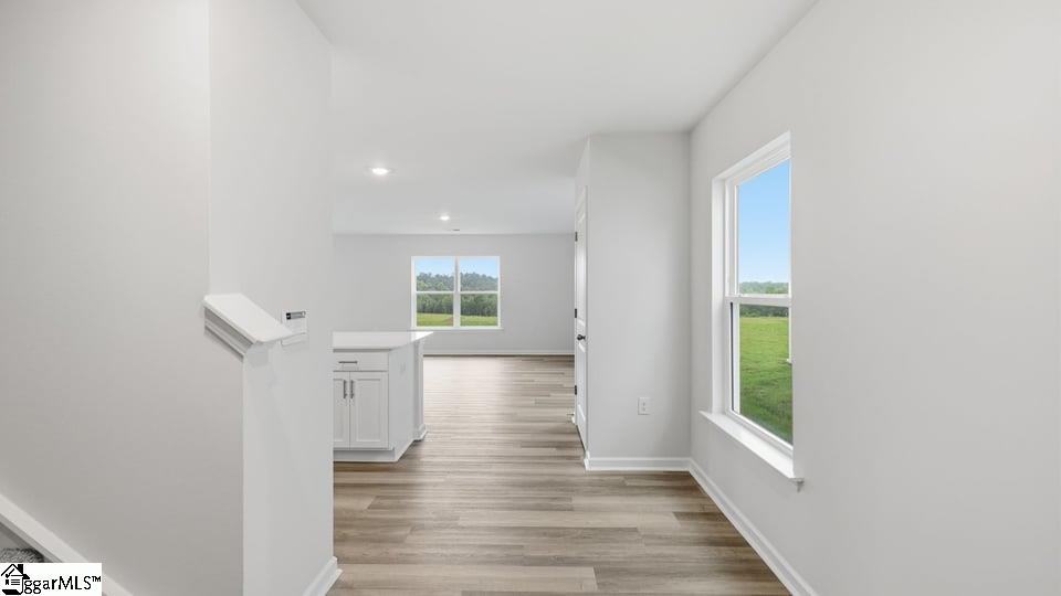 4130 Springshire Lane Property Photo 3