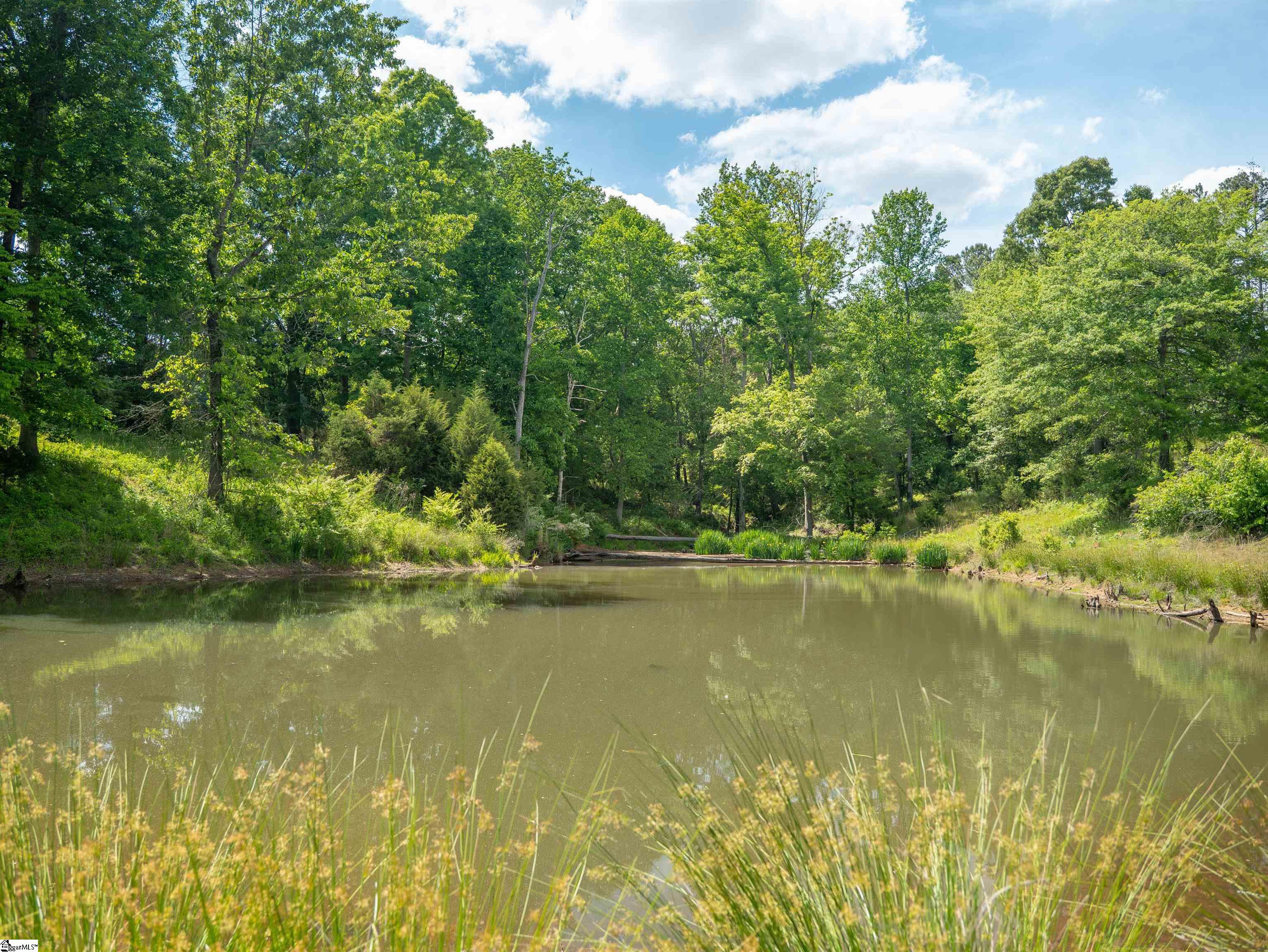 1610 Cannon Bottom Road Property Photo 10