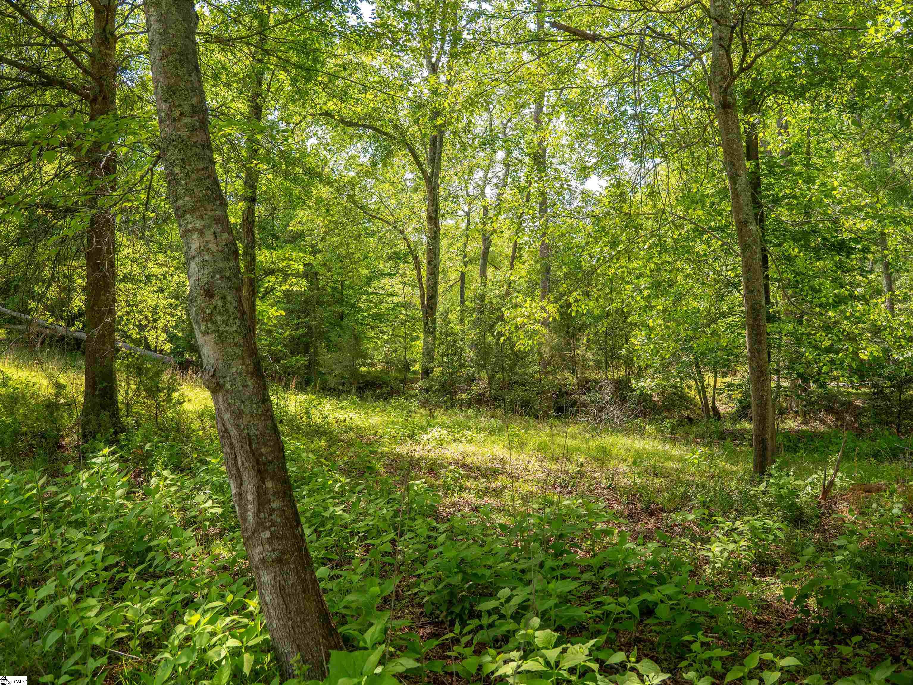 1610 Cannon Bottom Road Property Photo 13
