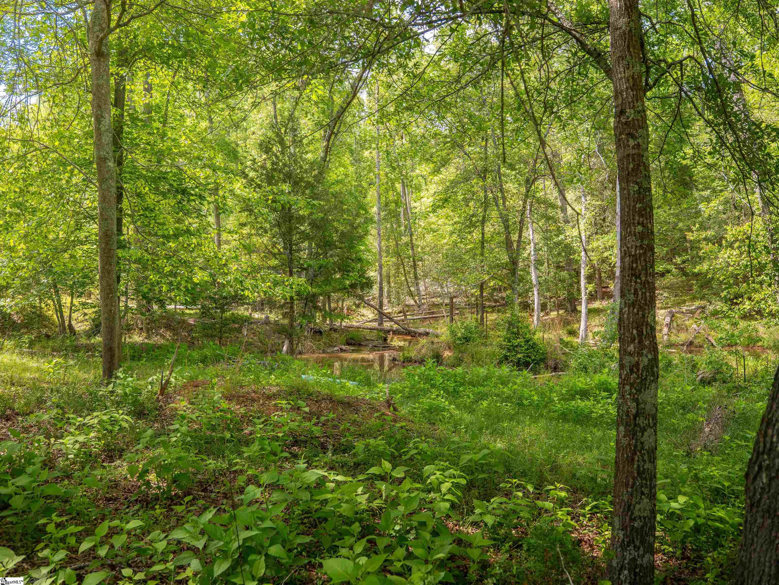 1610 Cannon Bottom Road Property Photo 16
