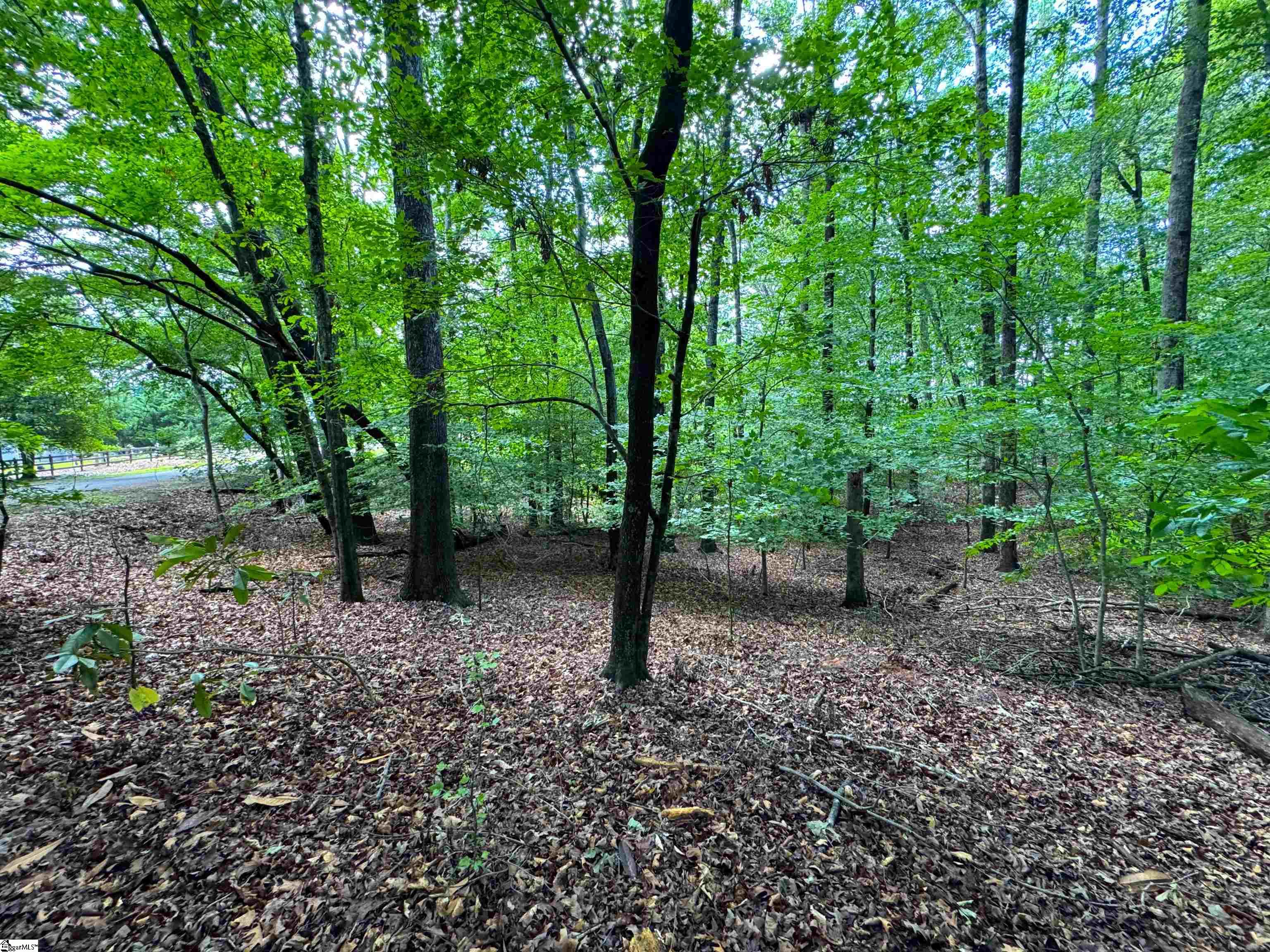 312 Bertha Allen Road Property Photo 14