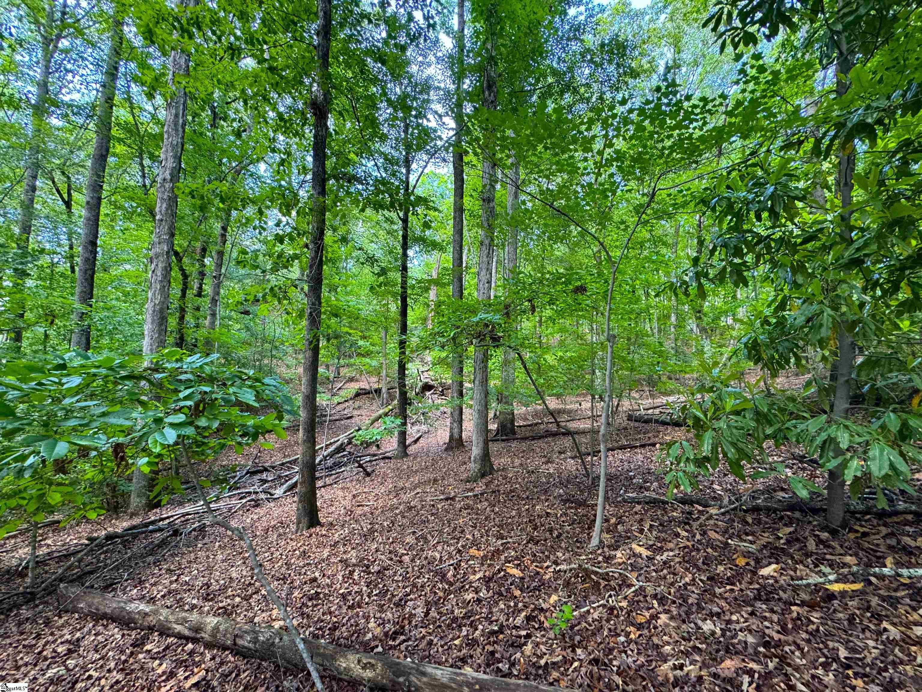 312 Bertha Allen Road Property Photo 15