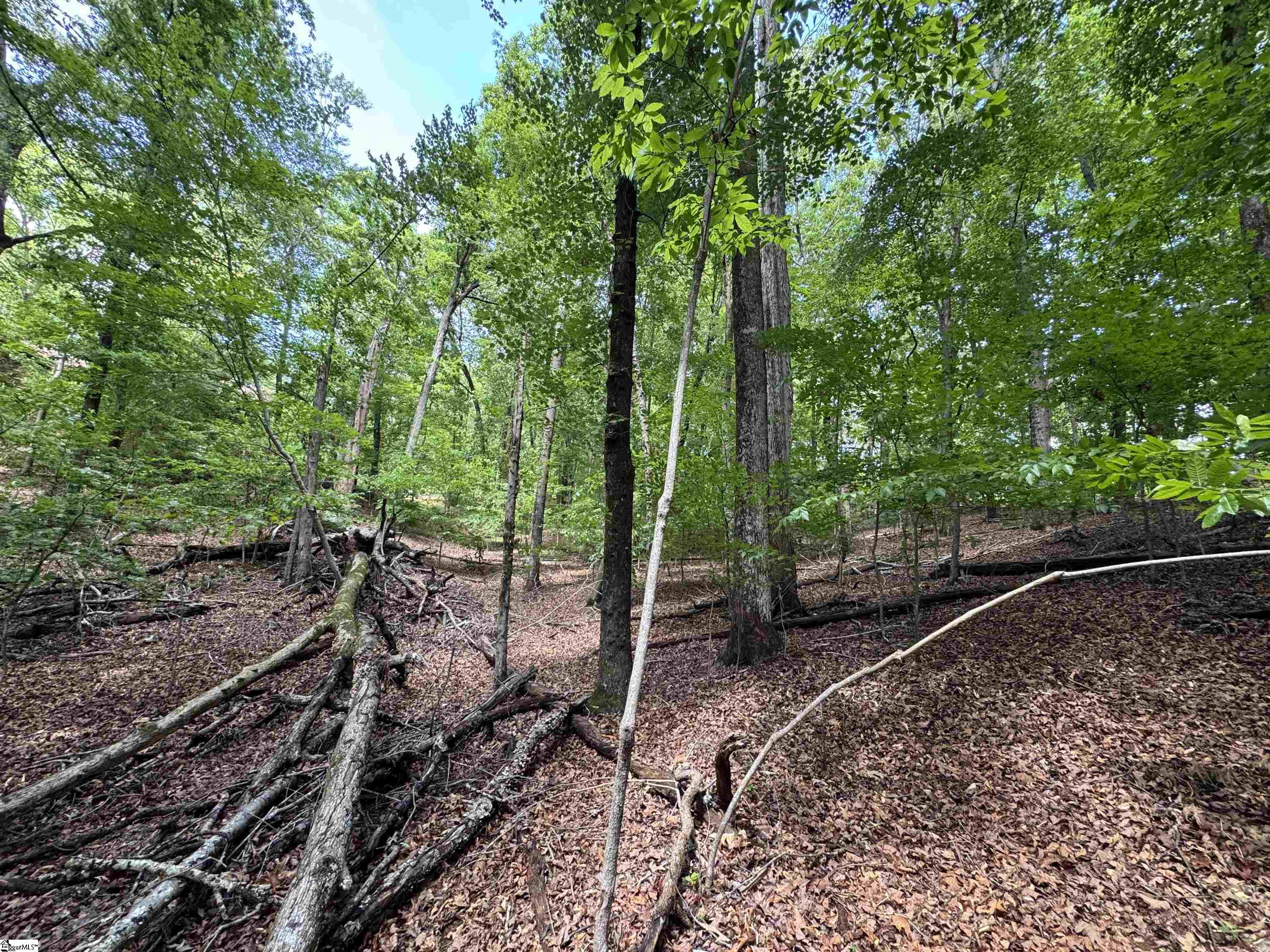312 Bertha Allen Road Property Photo 18