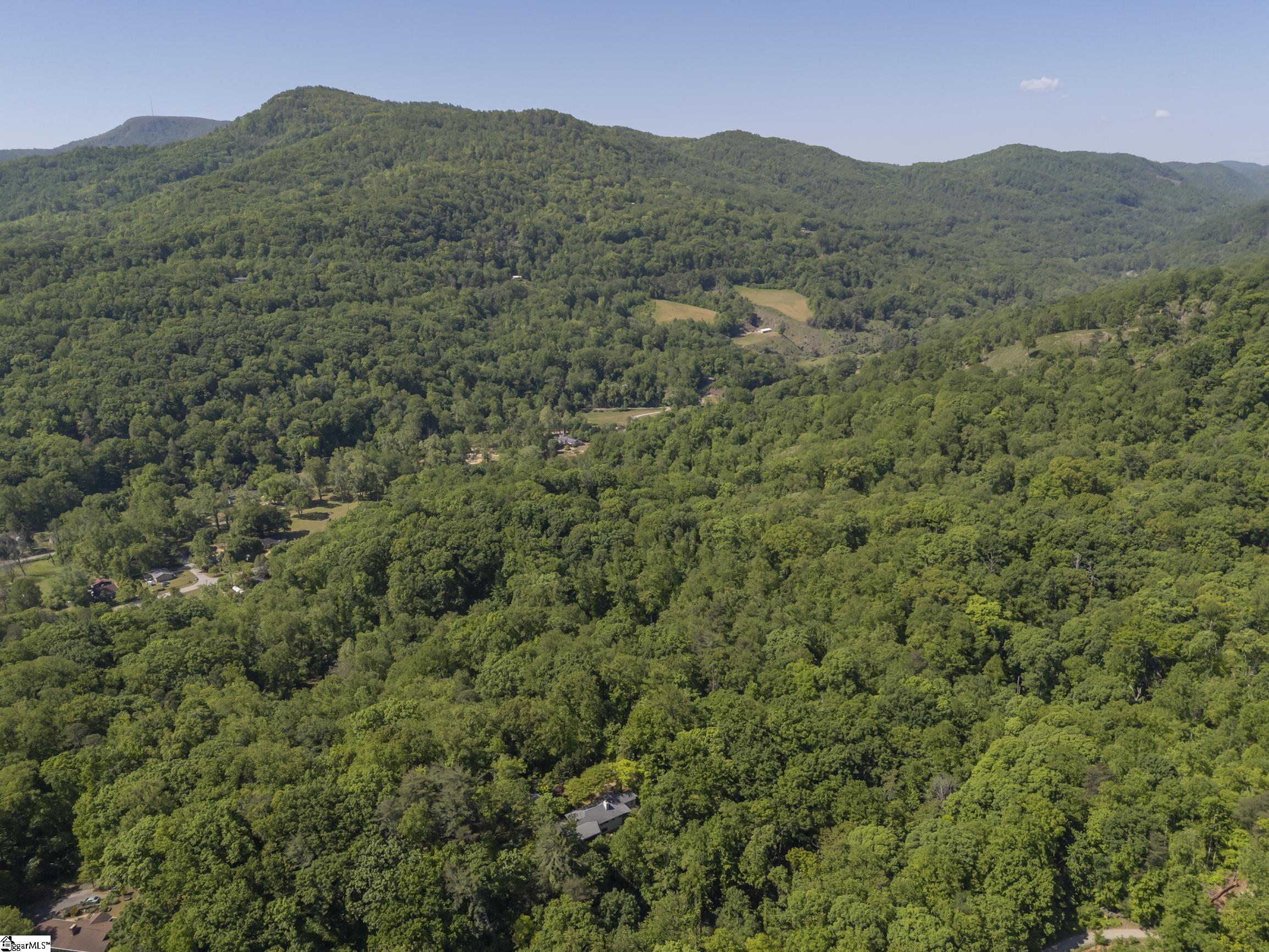 484 Sourwood Ridge Road Property Photo 45