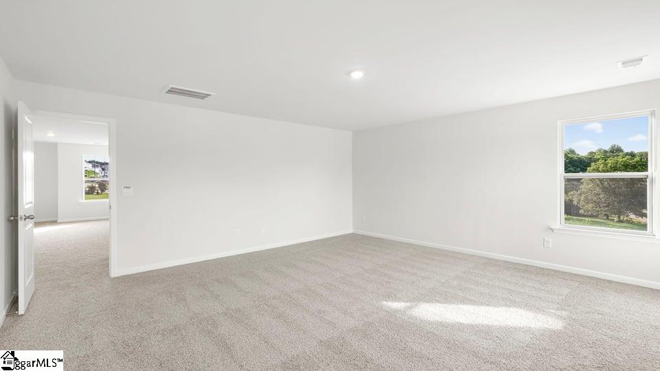 801 Honeybush Drive Property Photo 31