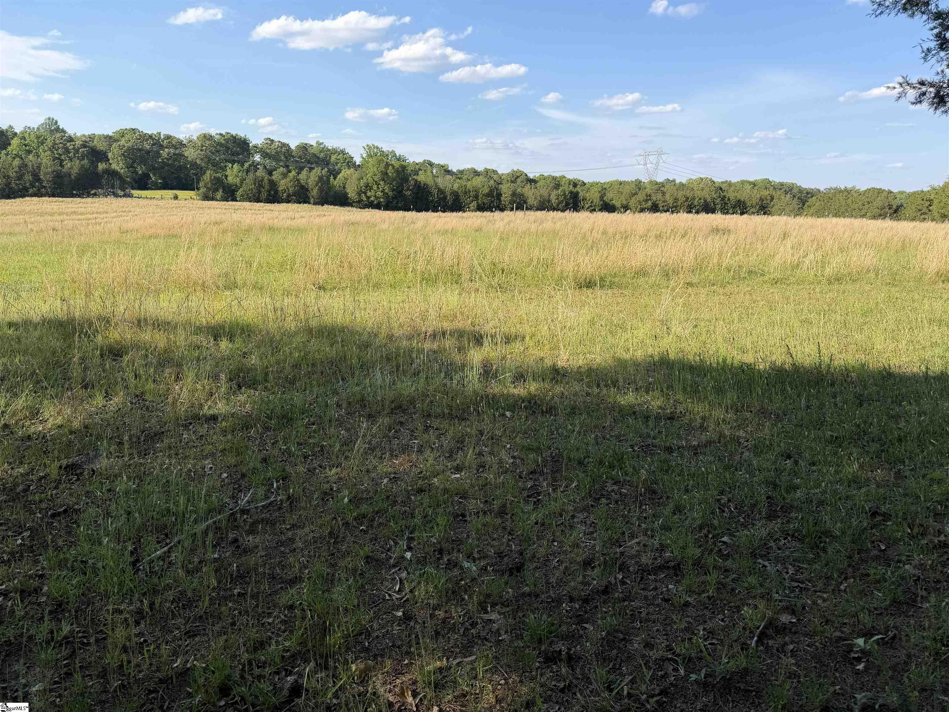 100 Living Waters Trail Property Photo 2
