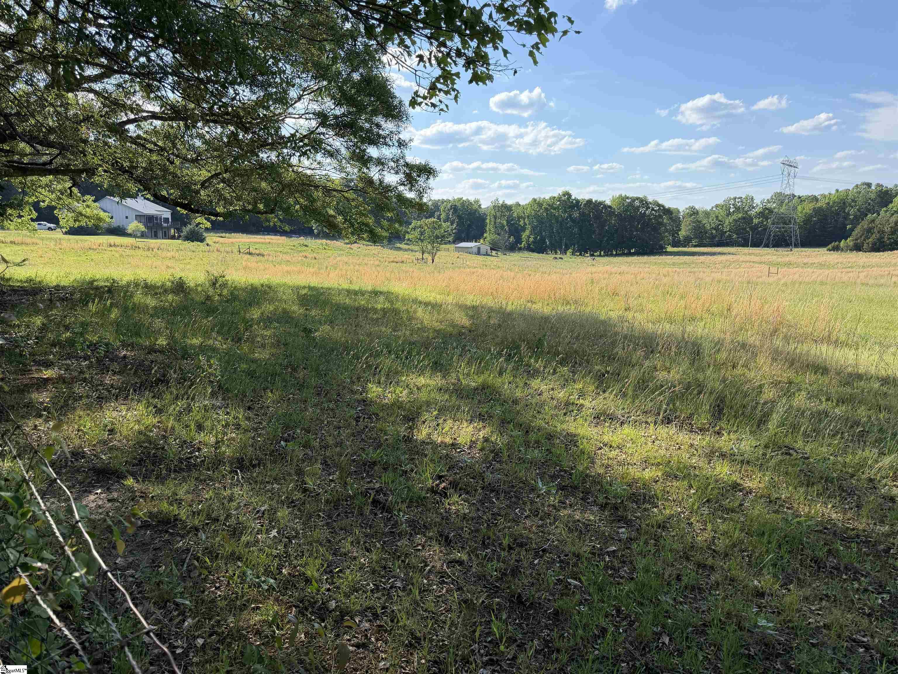 100 Living Waters Trail Property Photo 3