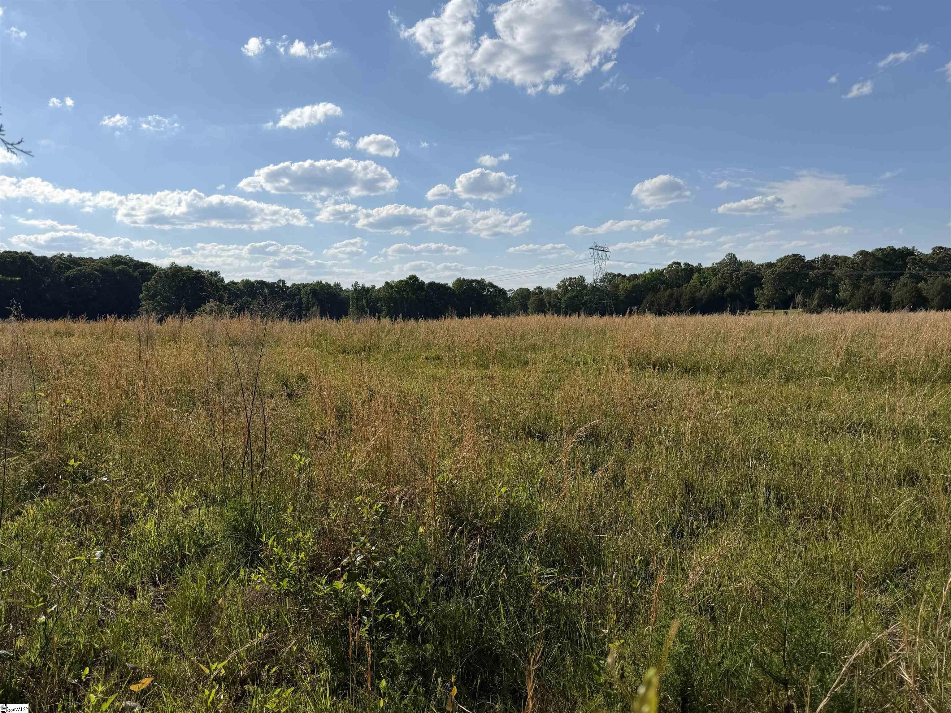 100 Living Waters Trail Property Photo 4