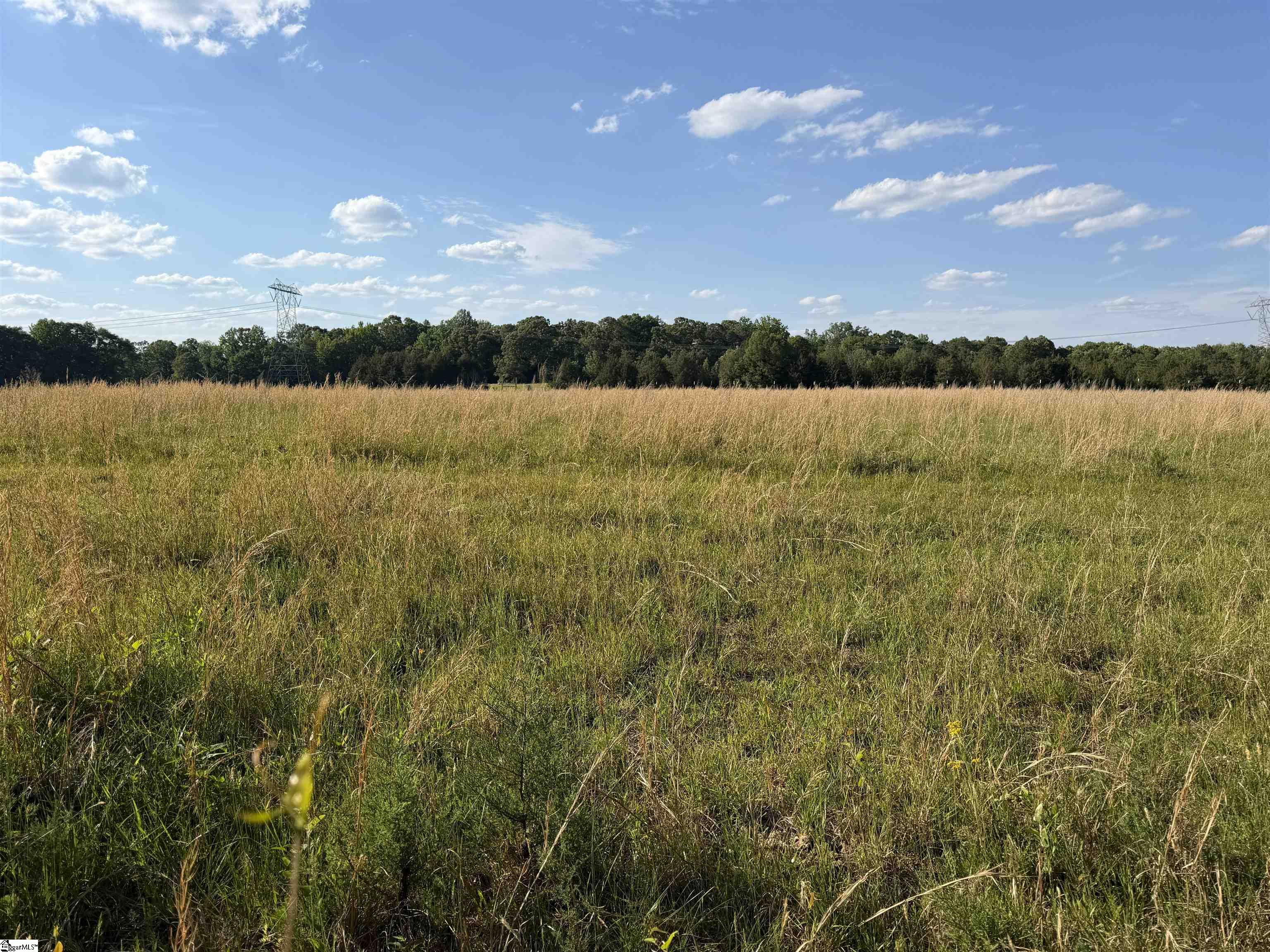 100 Living Waters Trail Property Photo 5