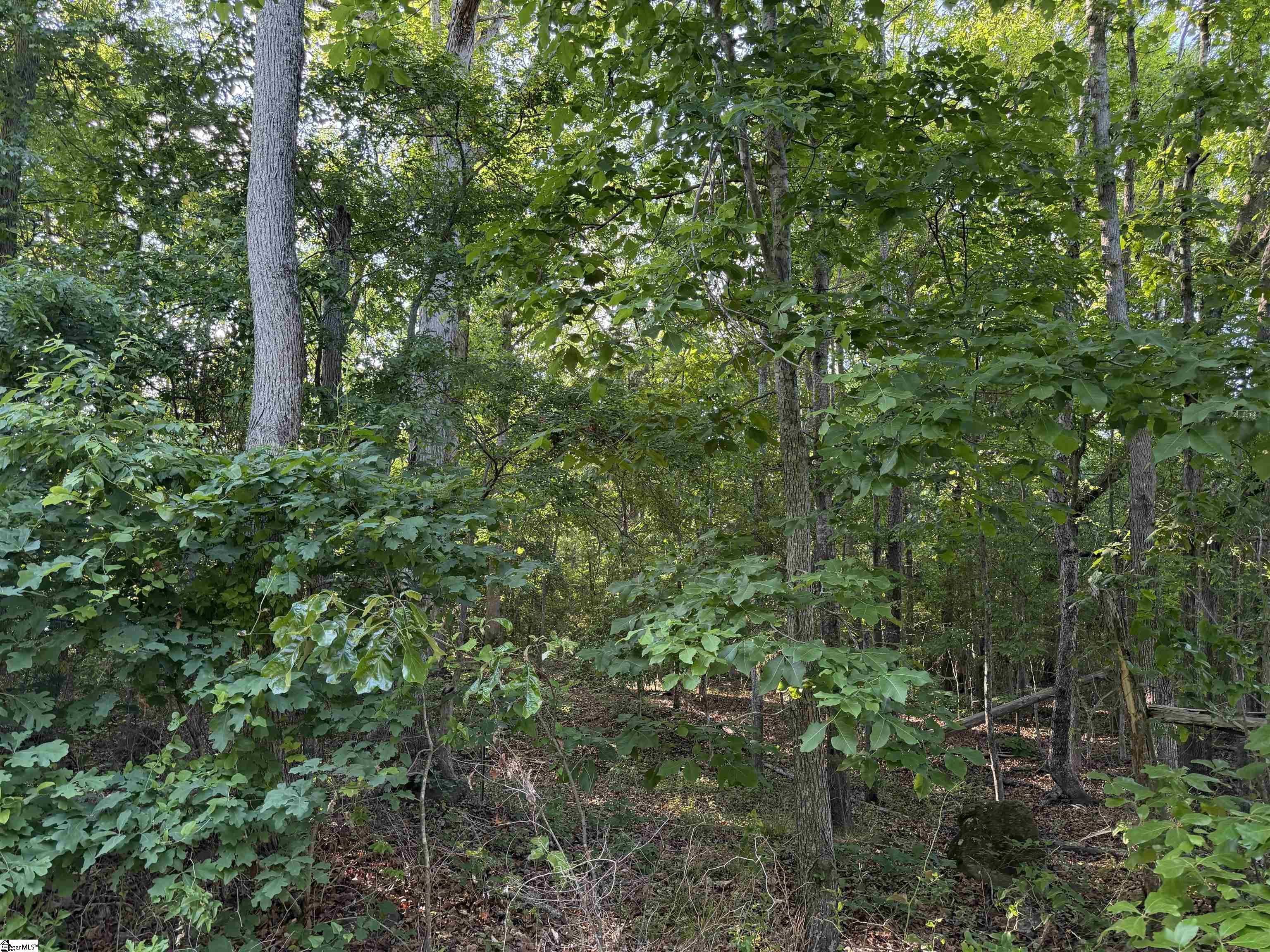 100 Living Waters Trail Property Photo 7