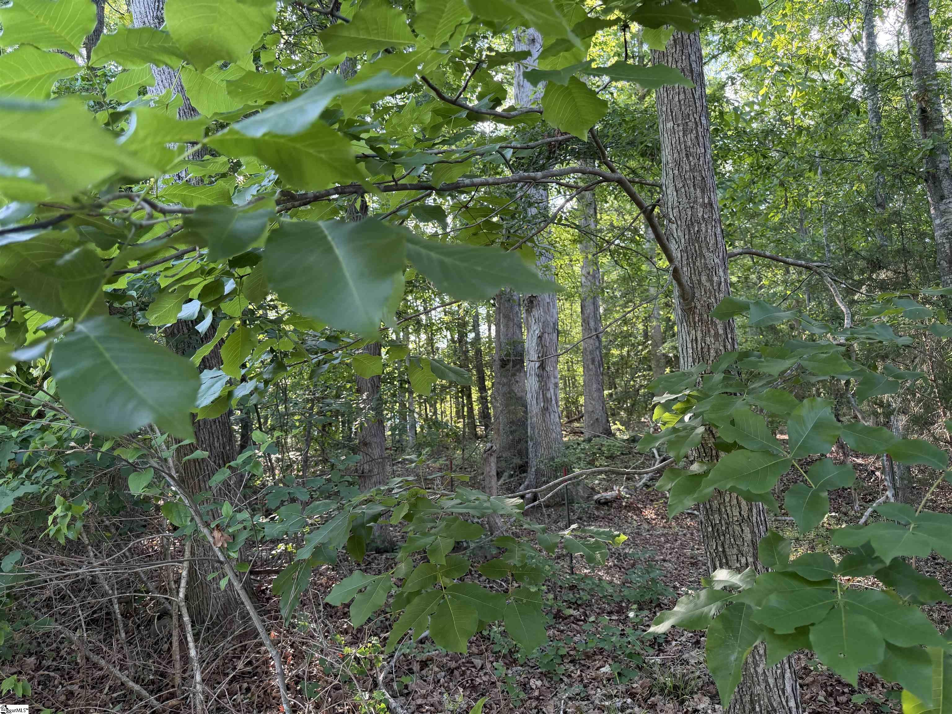 100 Living Waters Trail Property Photo 8