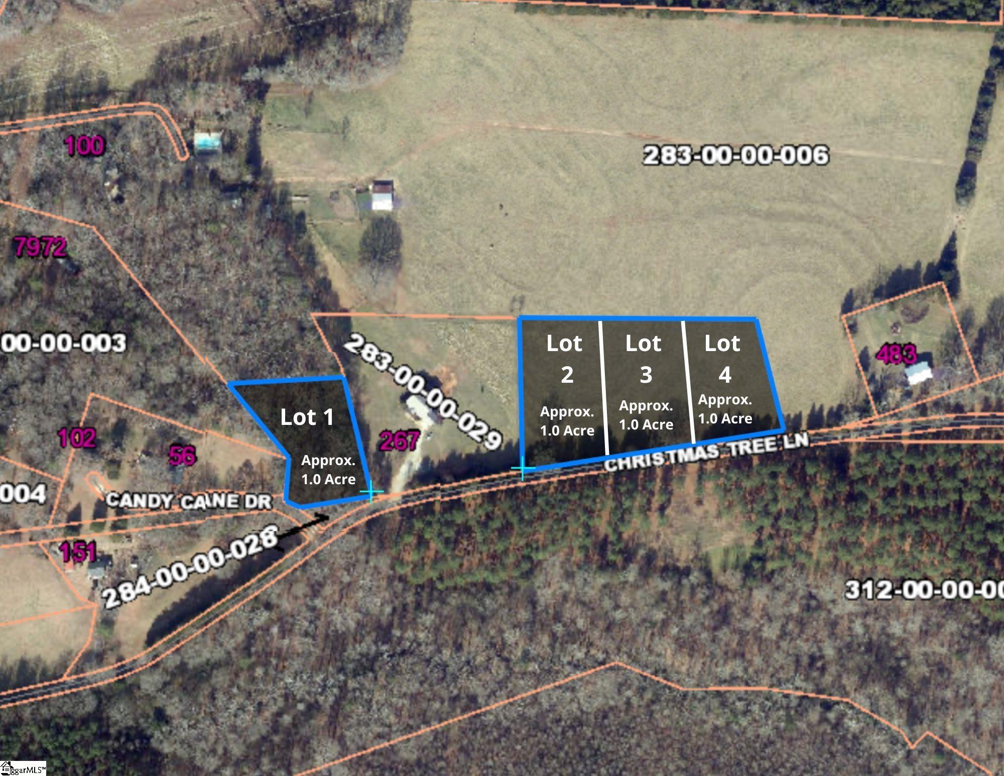 100 Living Waters Trail Property Photo 9