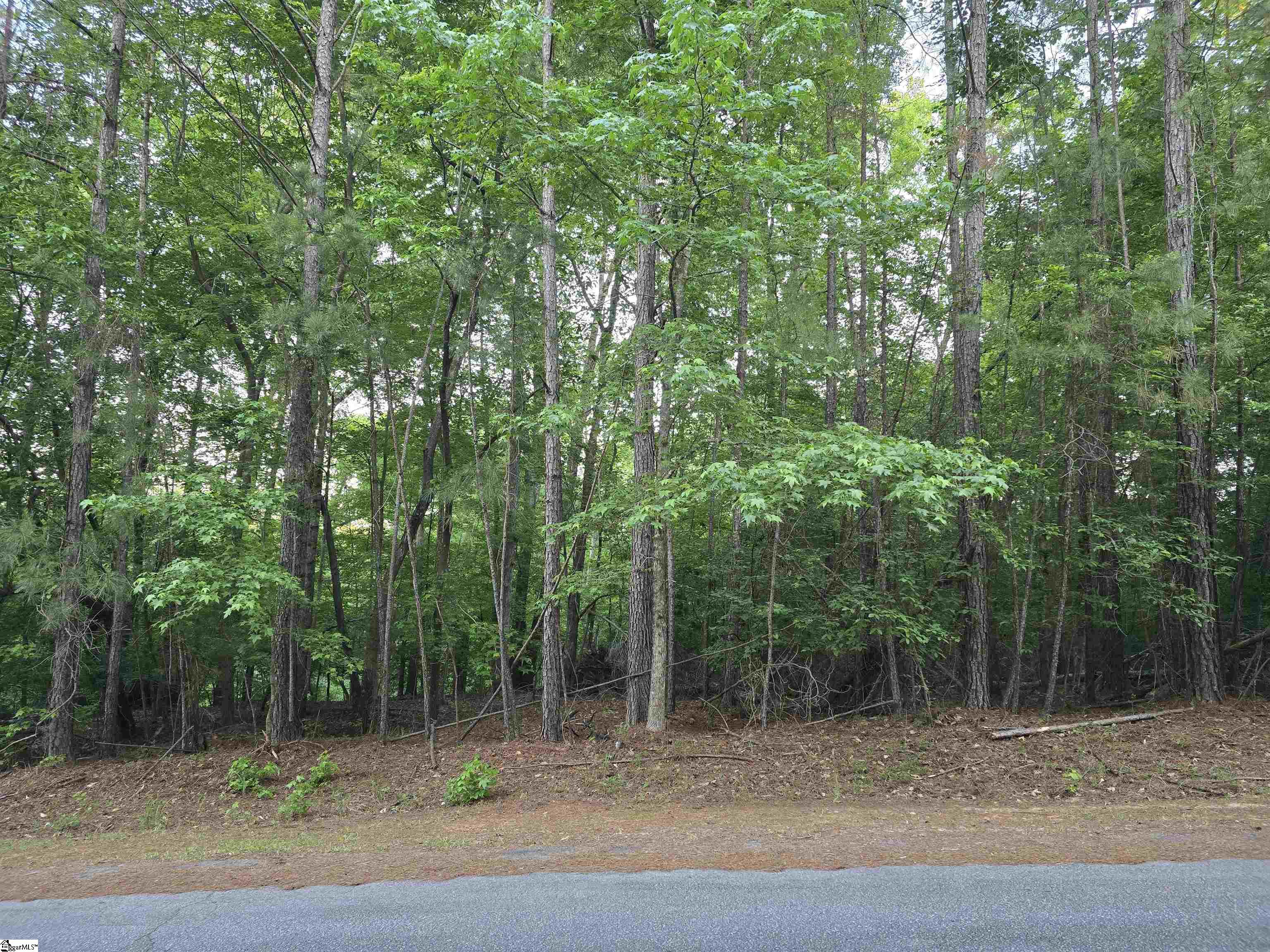 00 Crescent Drive Property Photo 3
