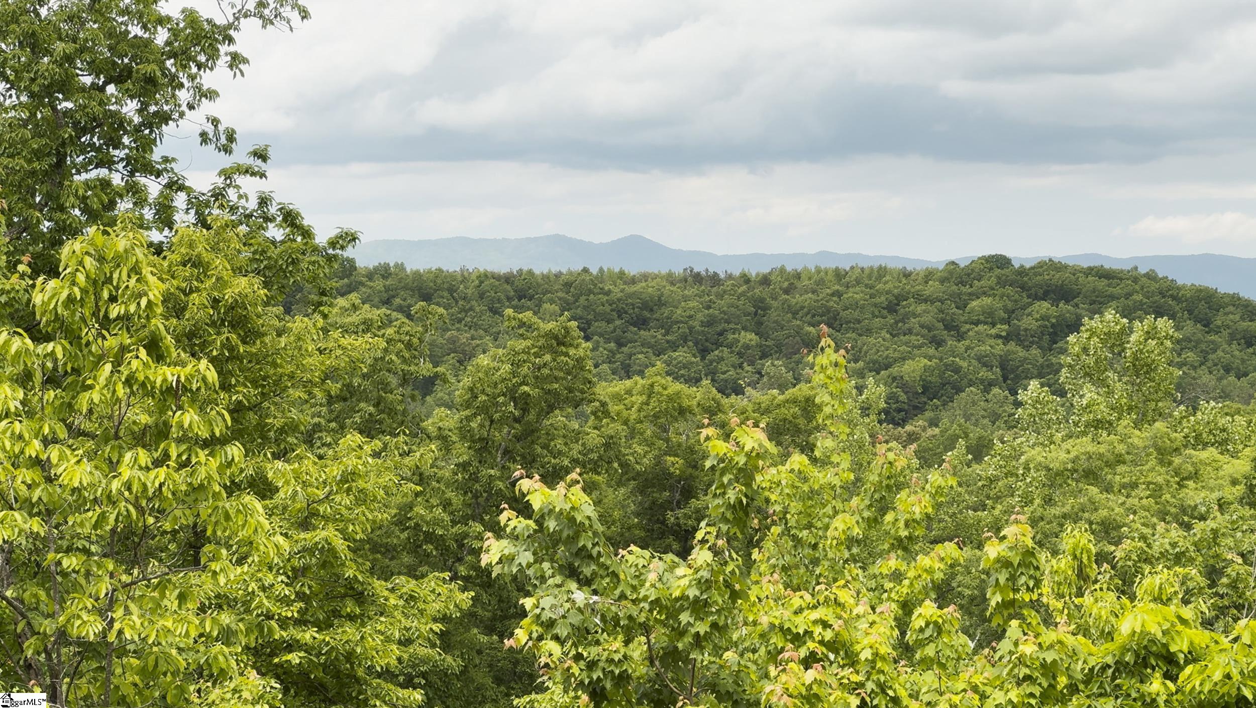 296 Long Mountain Road Property Photo 11