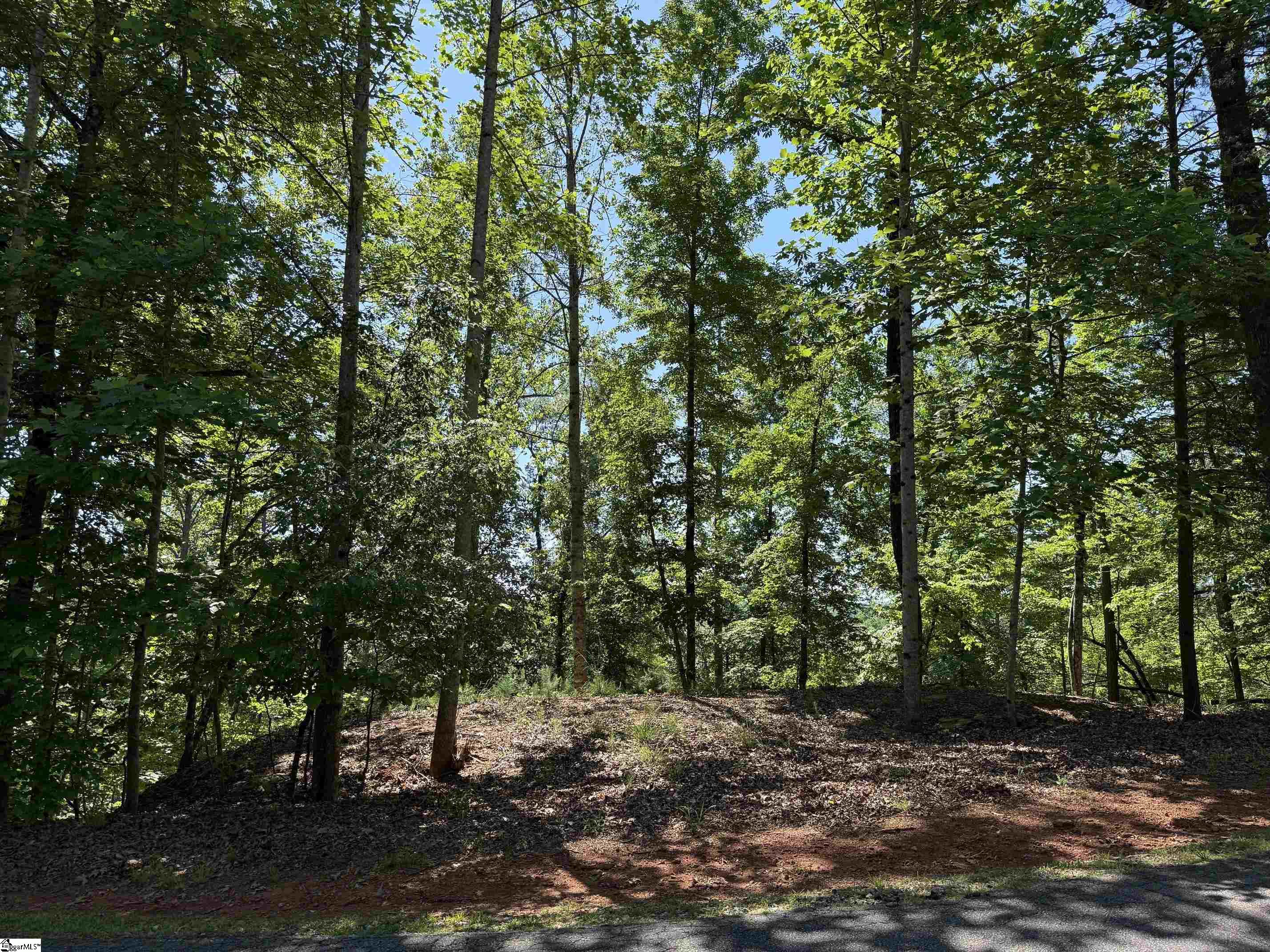 126 Summit Pine Property Photo 2