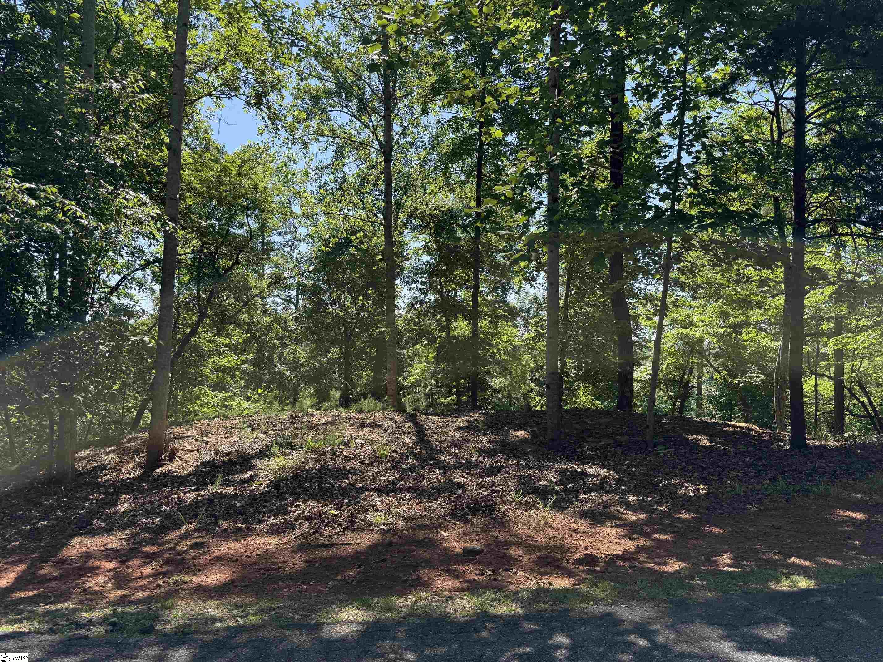 126 Summit Pine Property Photo 3