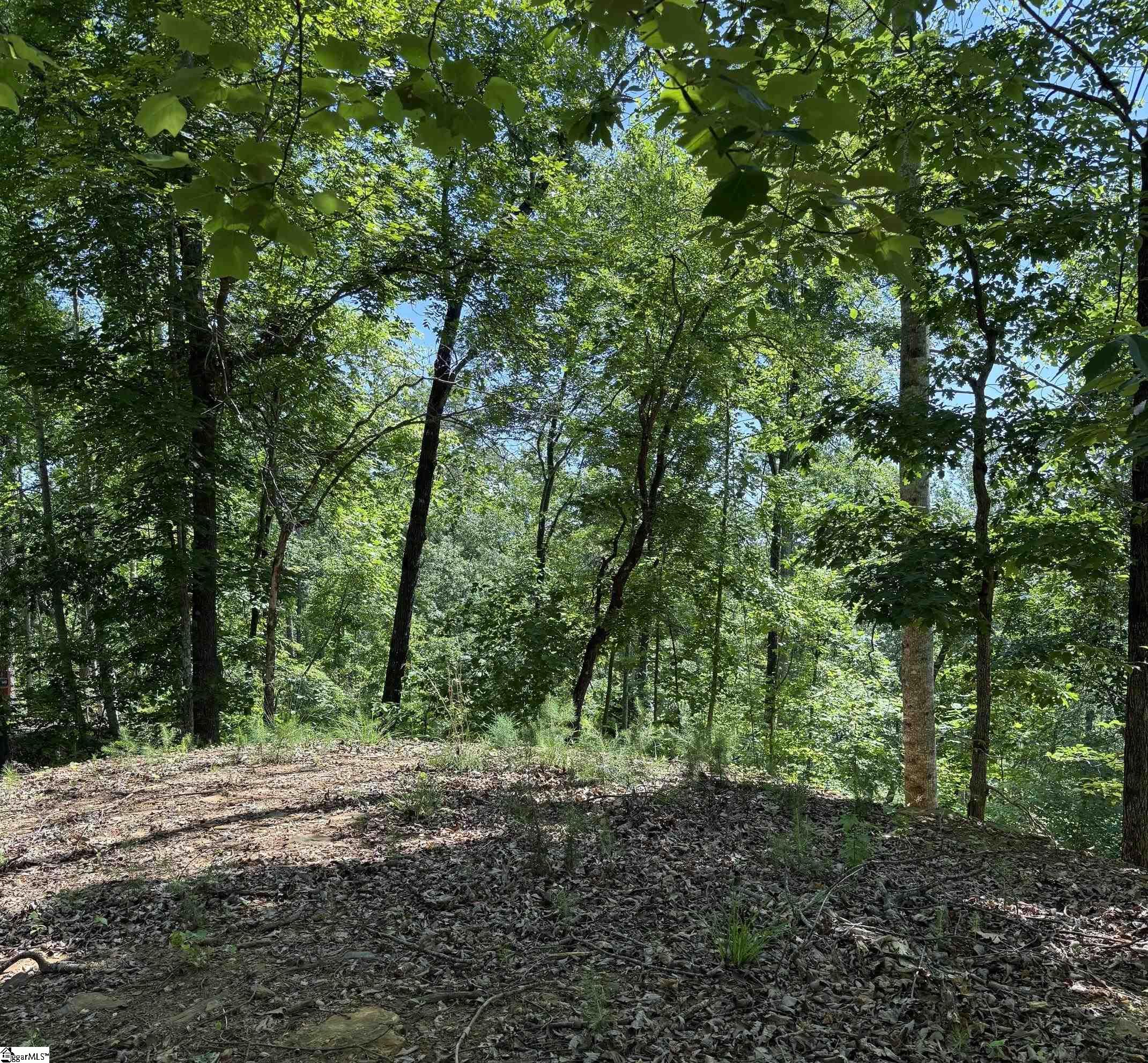 126 Summit Pine Property Photo 4