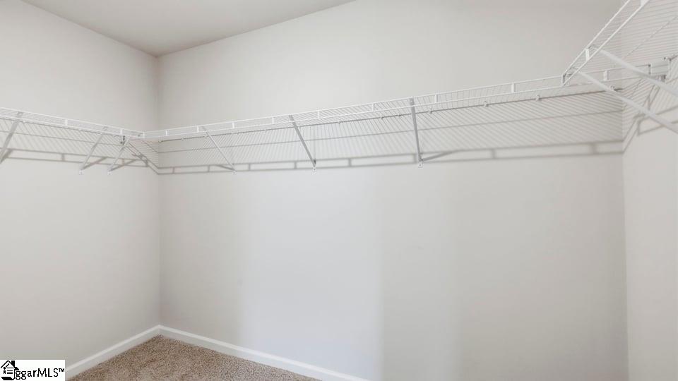 328 Ritter Lane Property Photo 33
