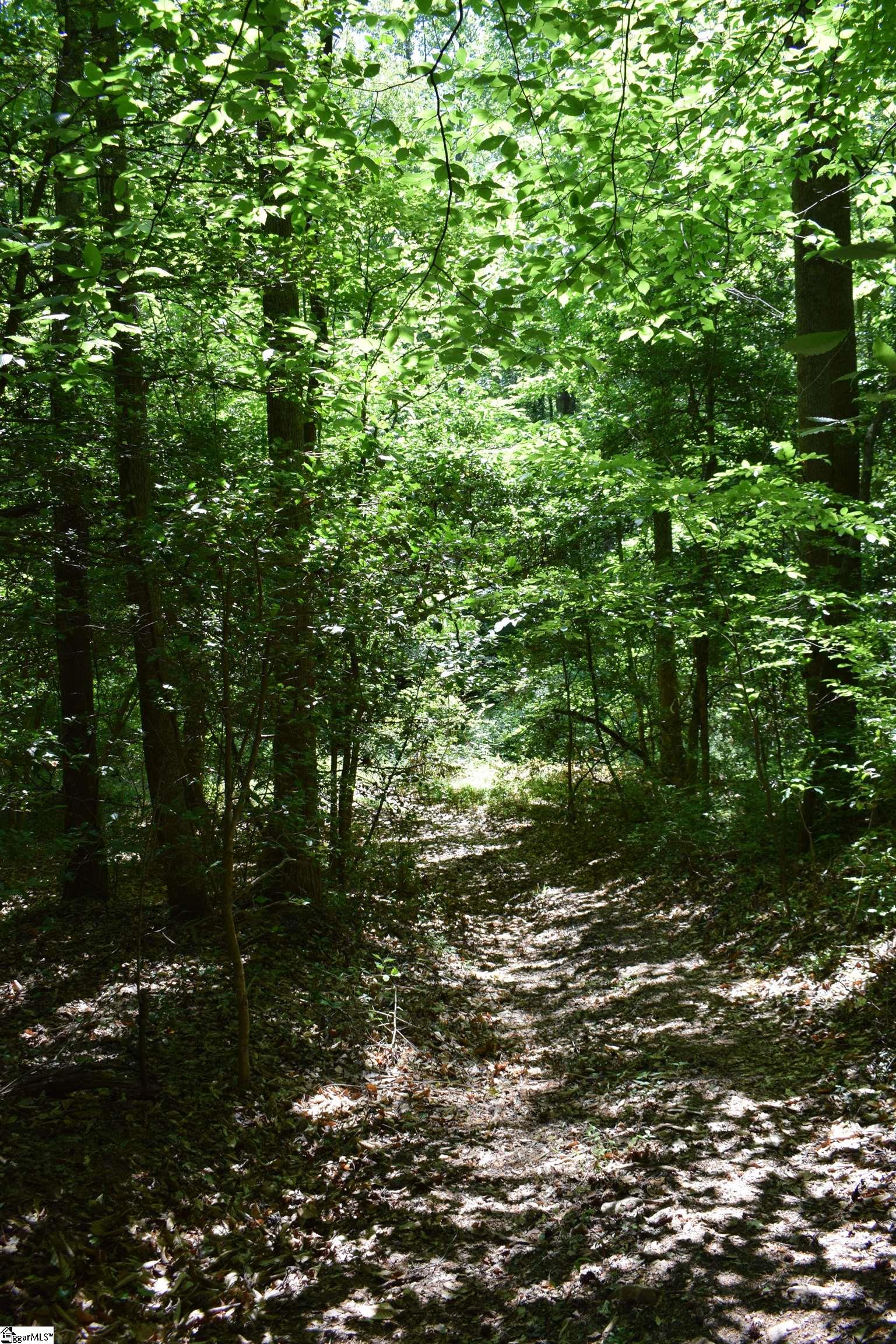 Floyd Blackwell Road Property Photo 4