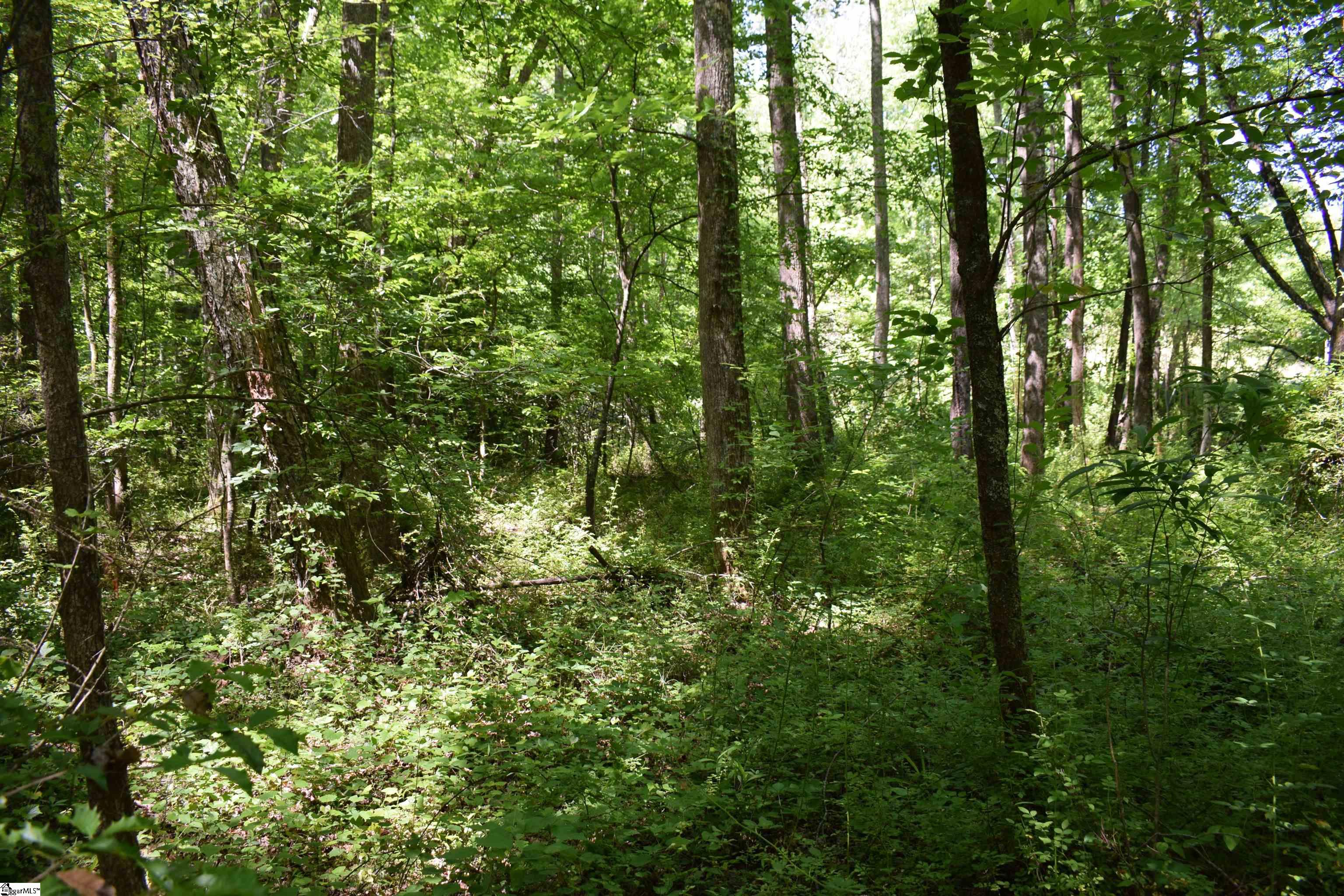 Floyd Blackwell Road Property Photo 11