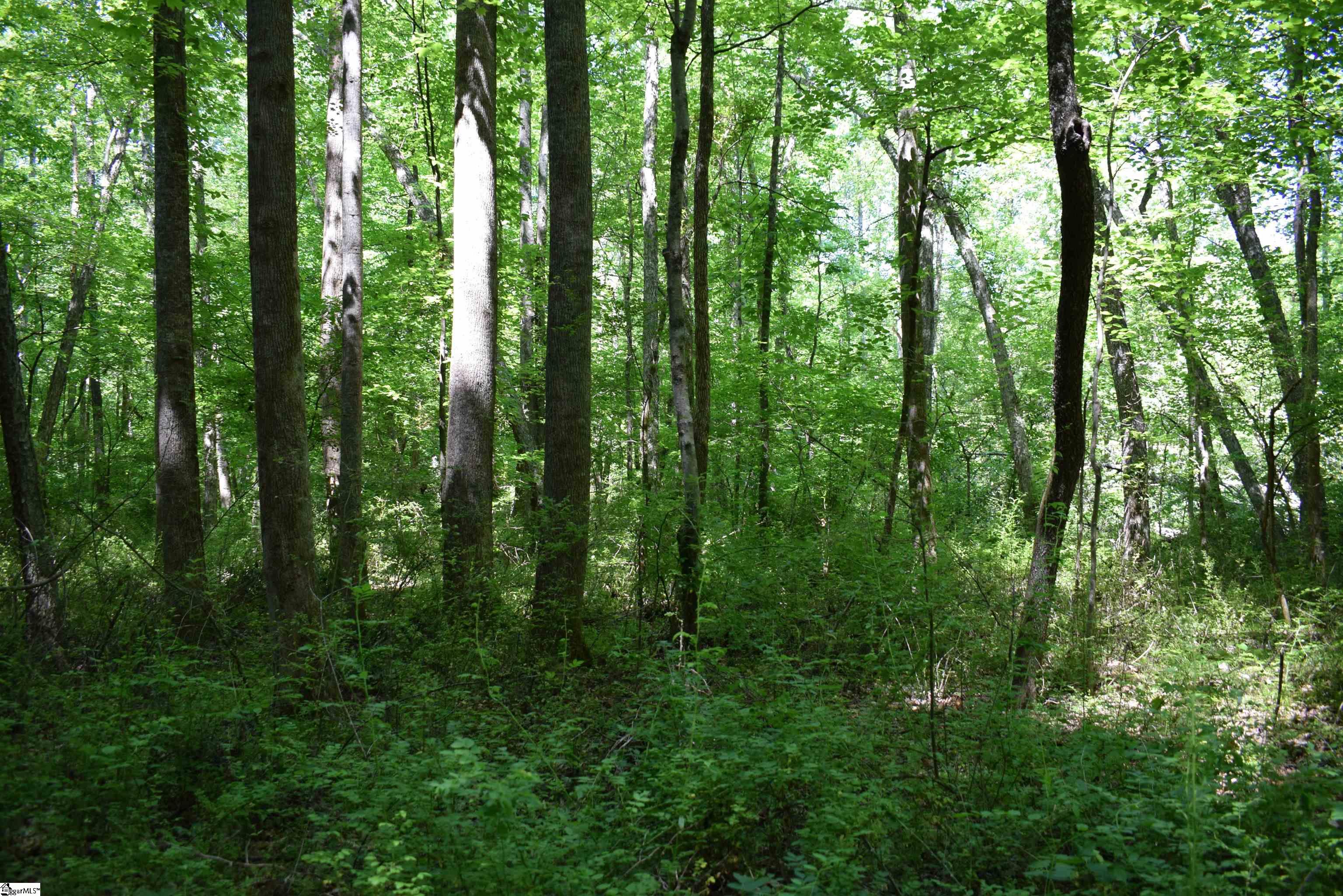 Floyd Blackwell Road Property Photo 15