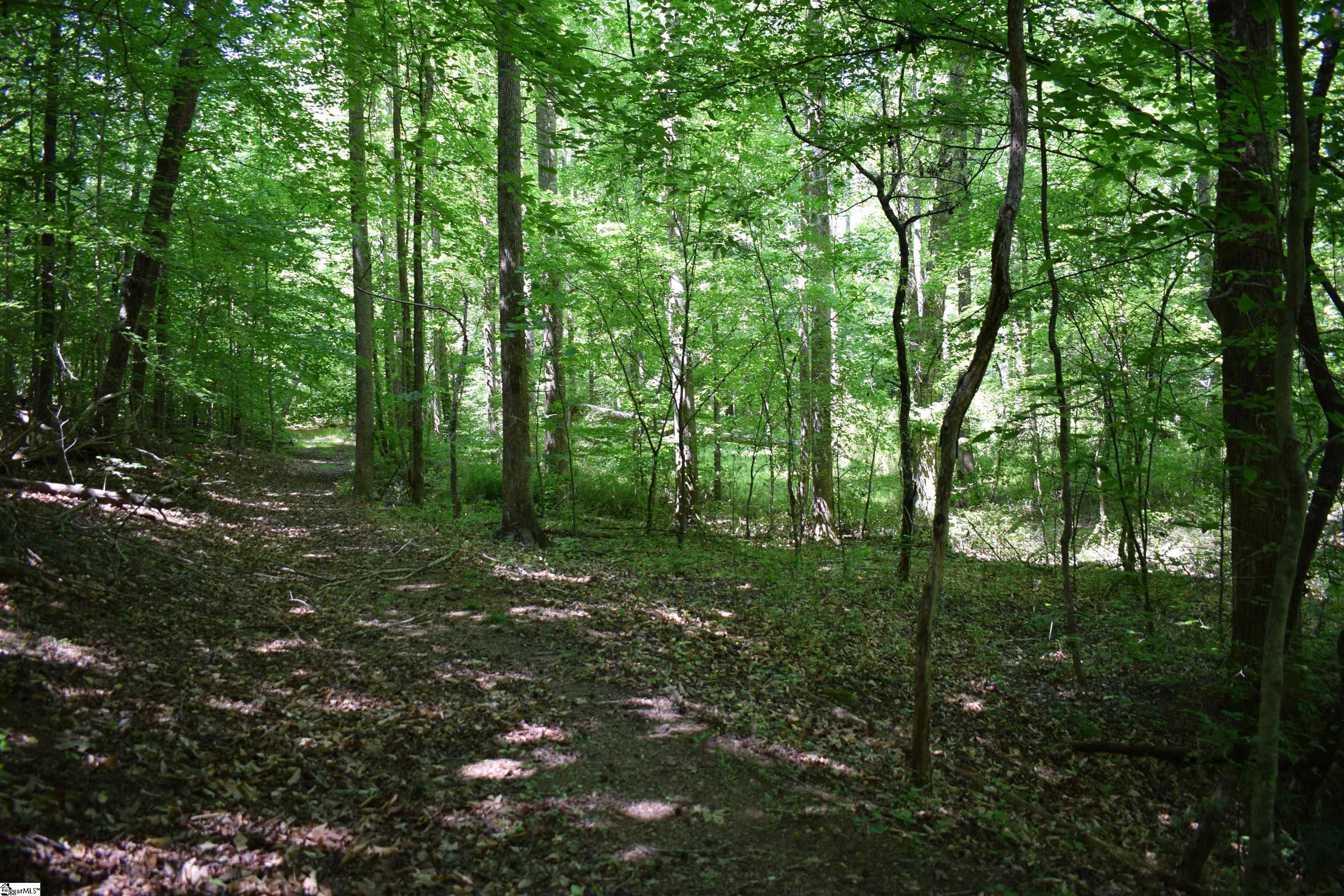Floyd Blackwell Road Property Photo 16