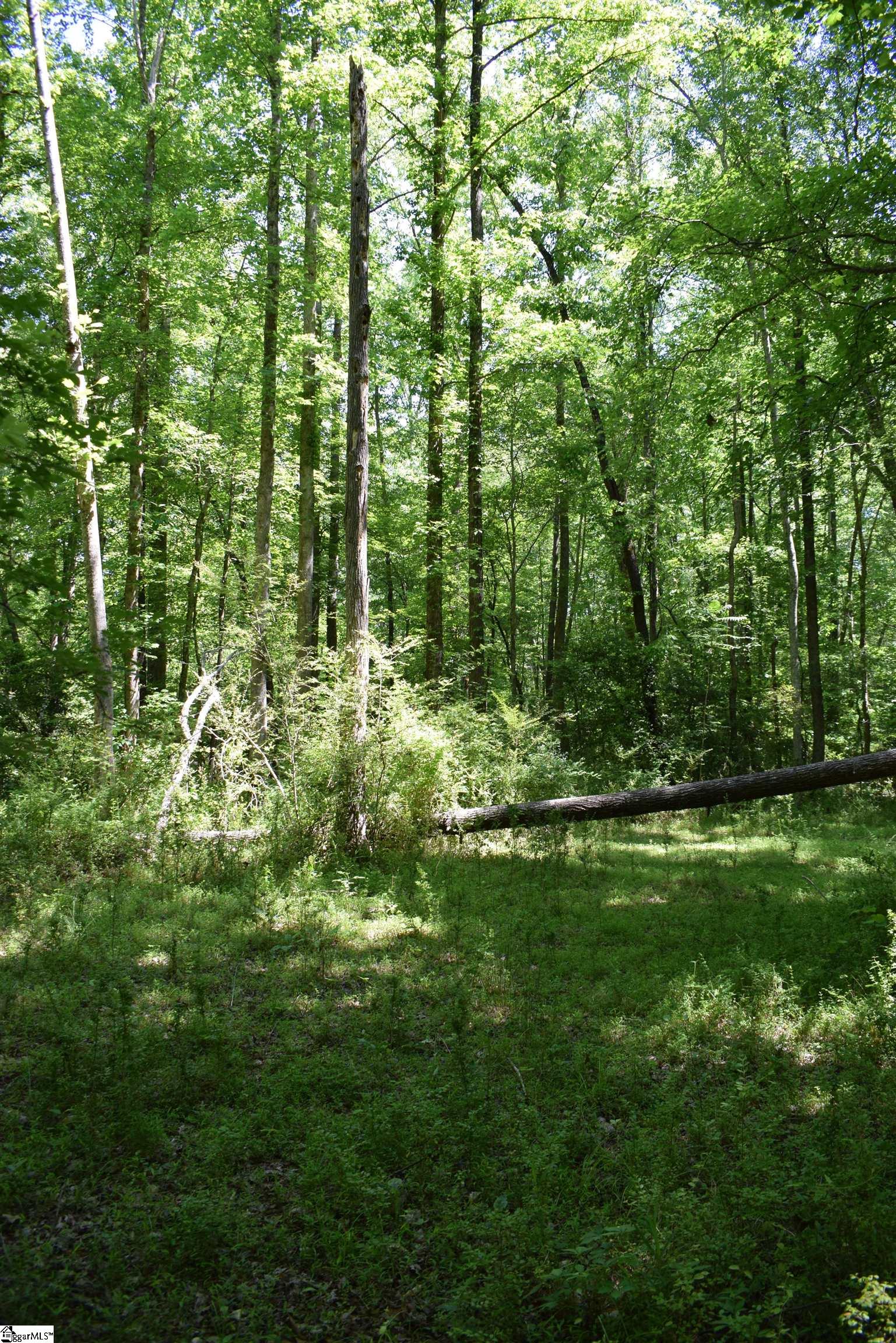 Floyd Blackwell Road Property Photo 17