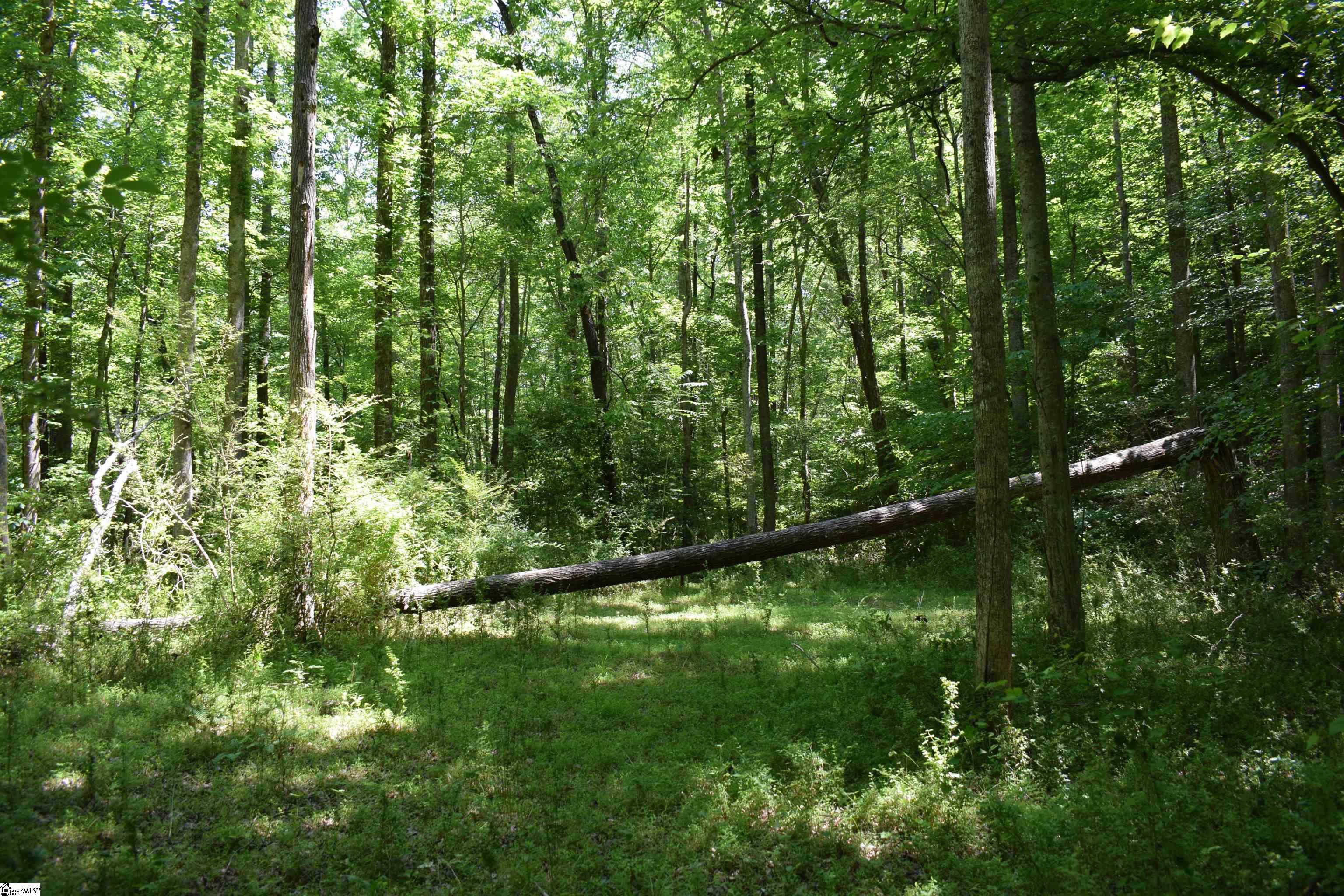 Floyd Blackwell Road Property Photo 18