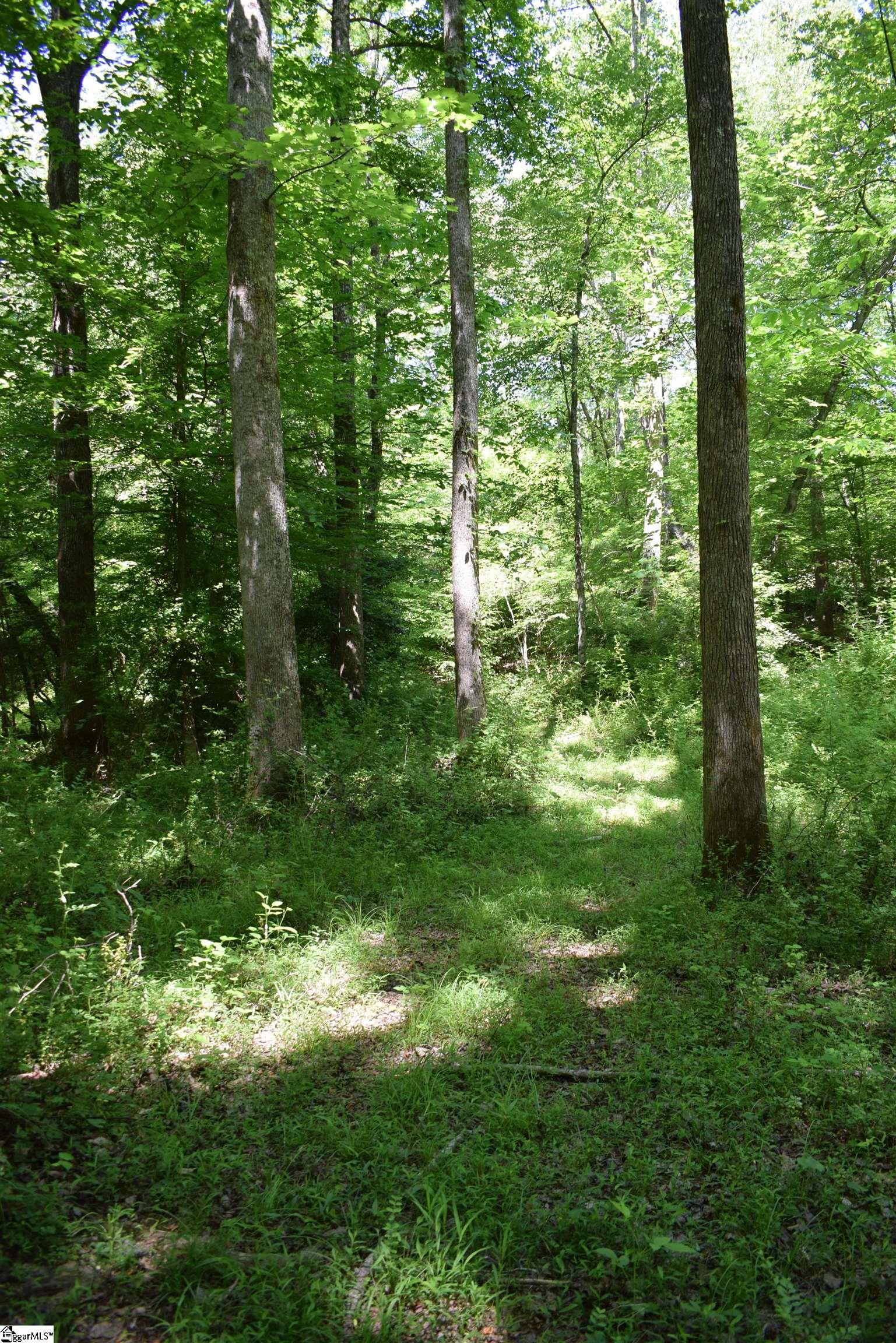 Floyd Blackwell Road Property Photo 19