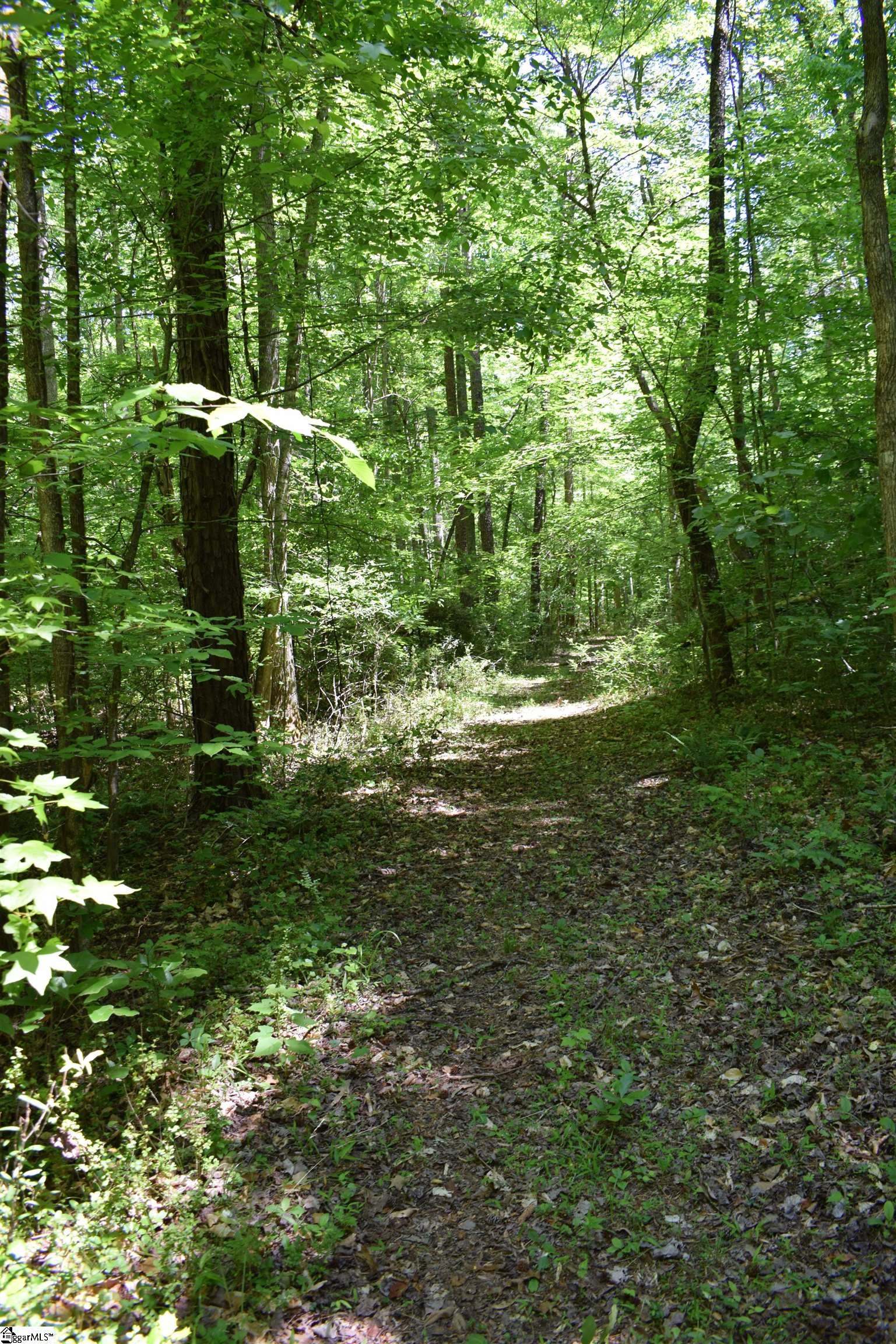 Floyd Blackwell Road Property Photo 22