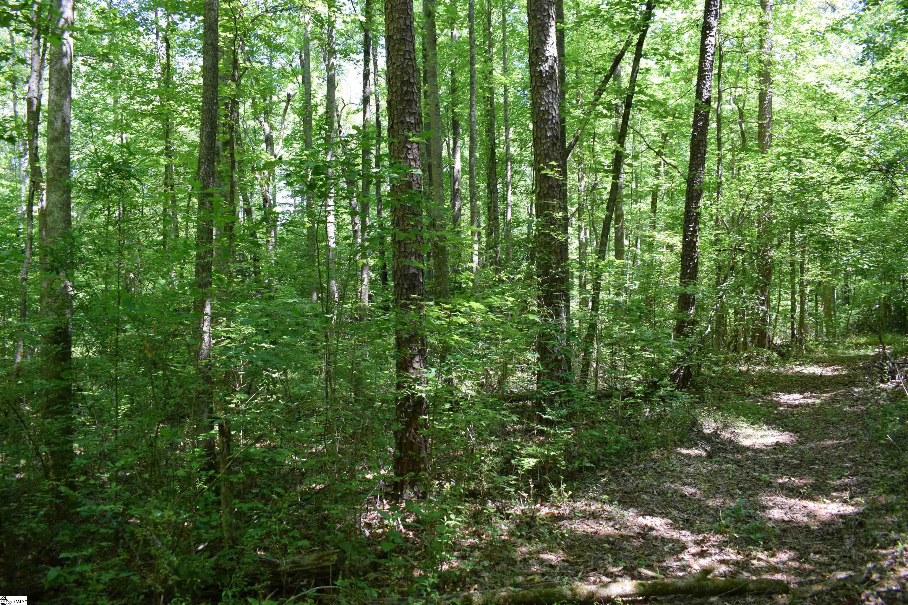 Floyd Blackwell Road Property Photo 23