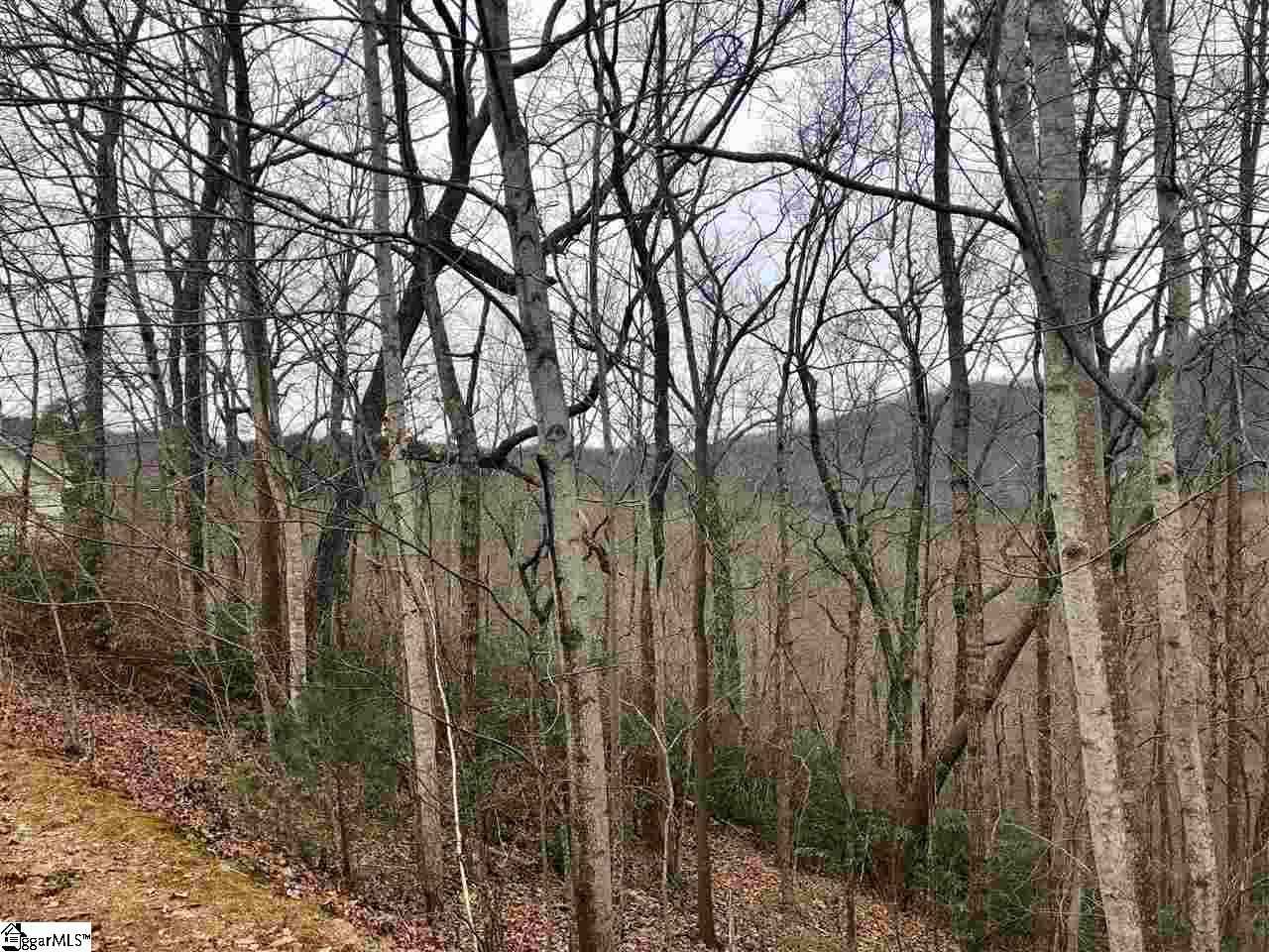 305 Sedgewick Road Property Photo 3