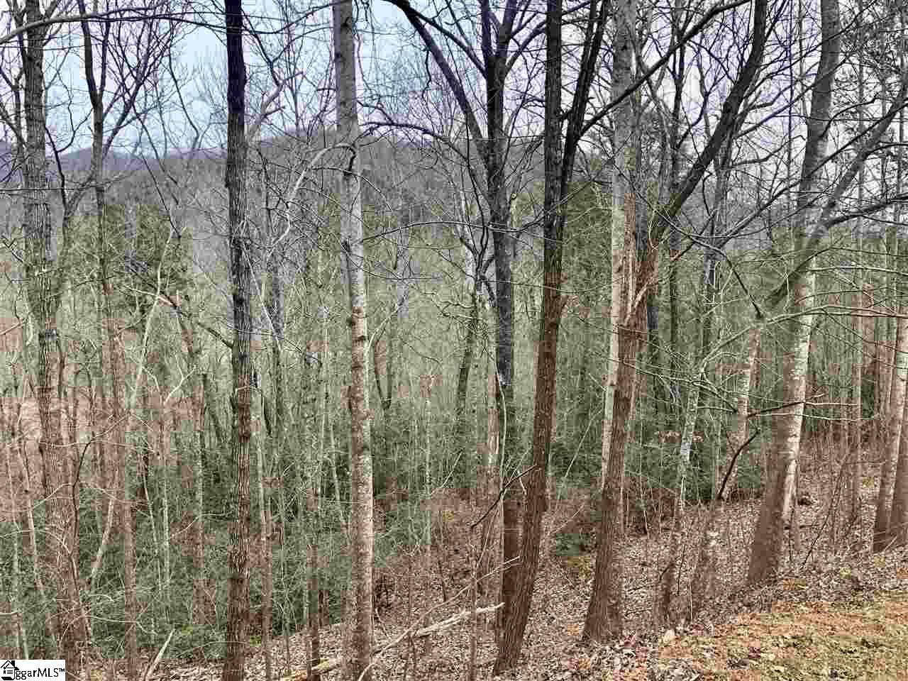 305 Sedgewick Road Property Photo 4