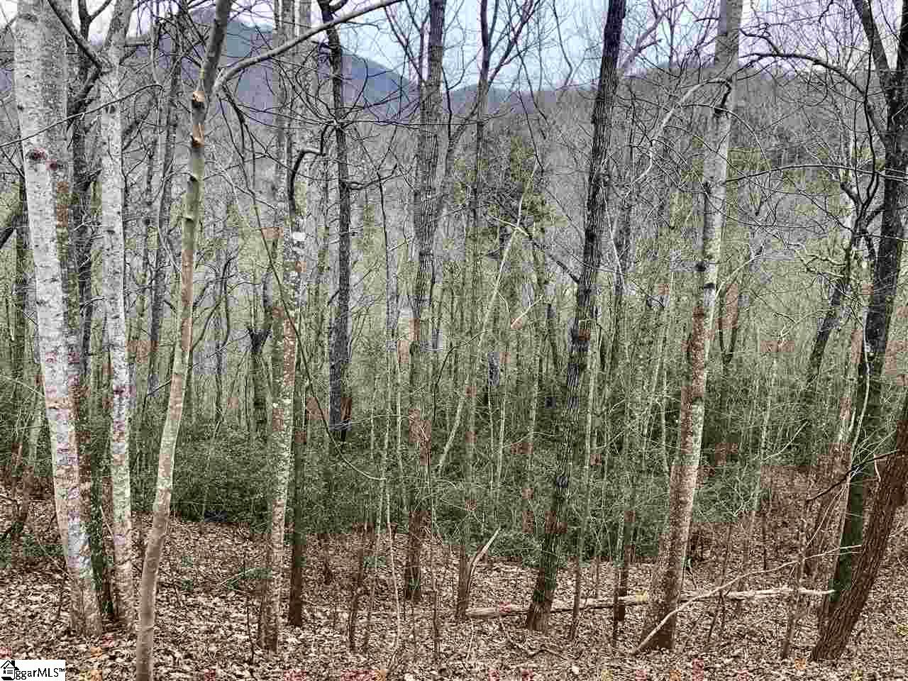 305 Sedgewick Road Property Photo 5